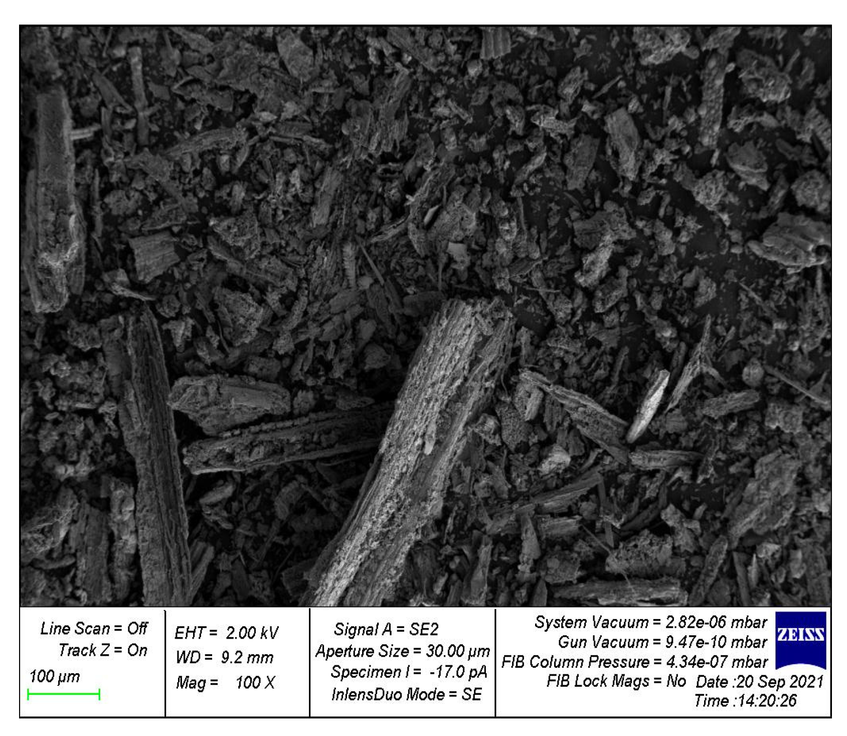 Preprints 74134 g013