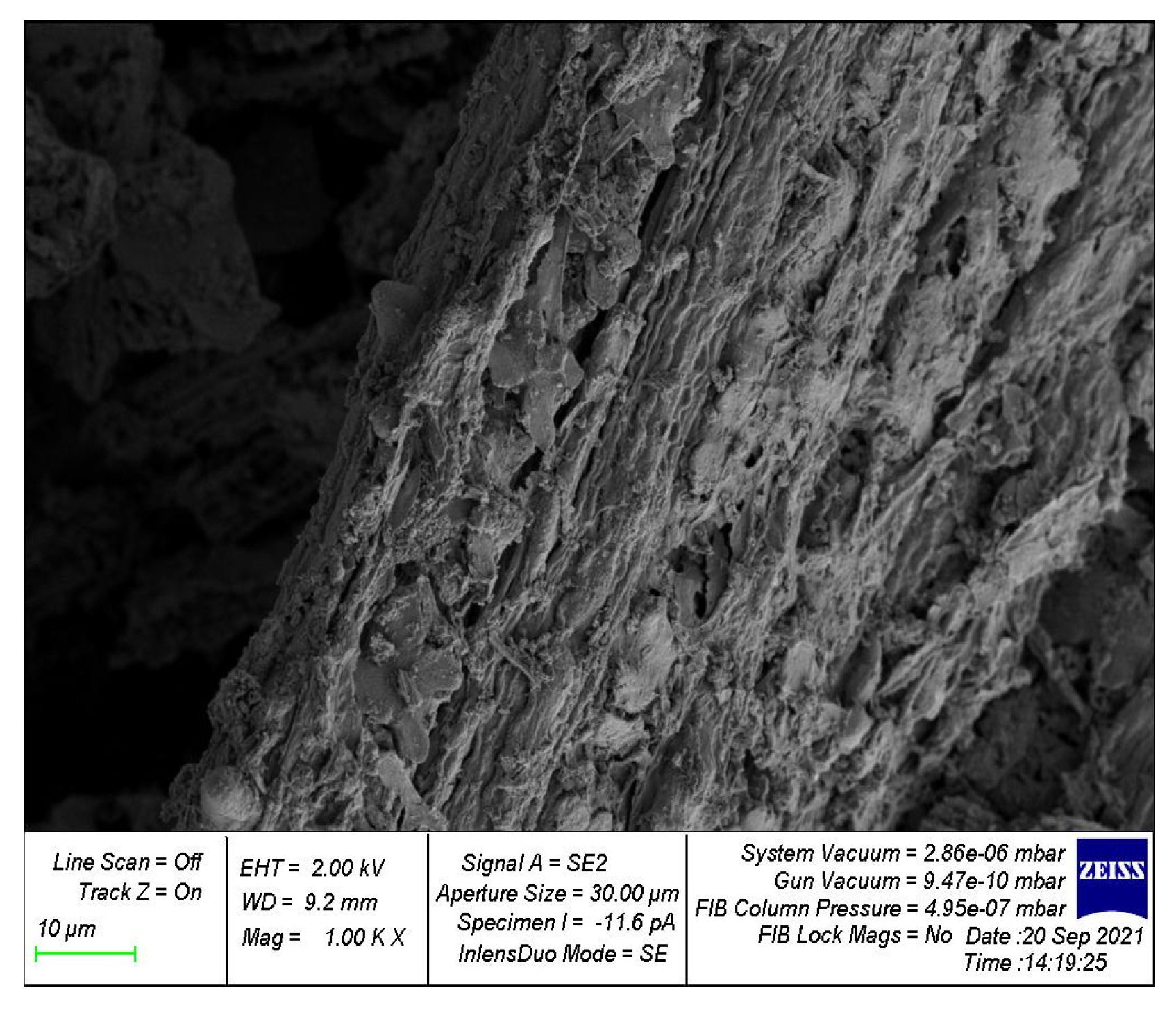 Preprints 74134 g014