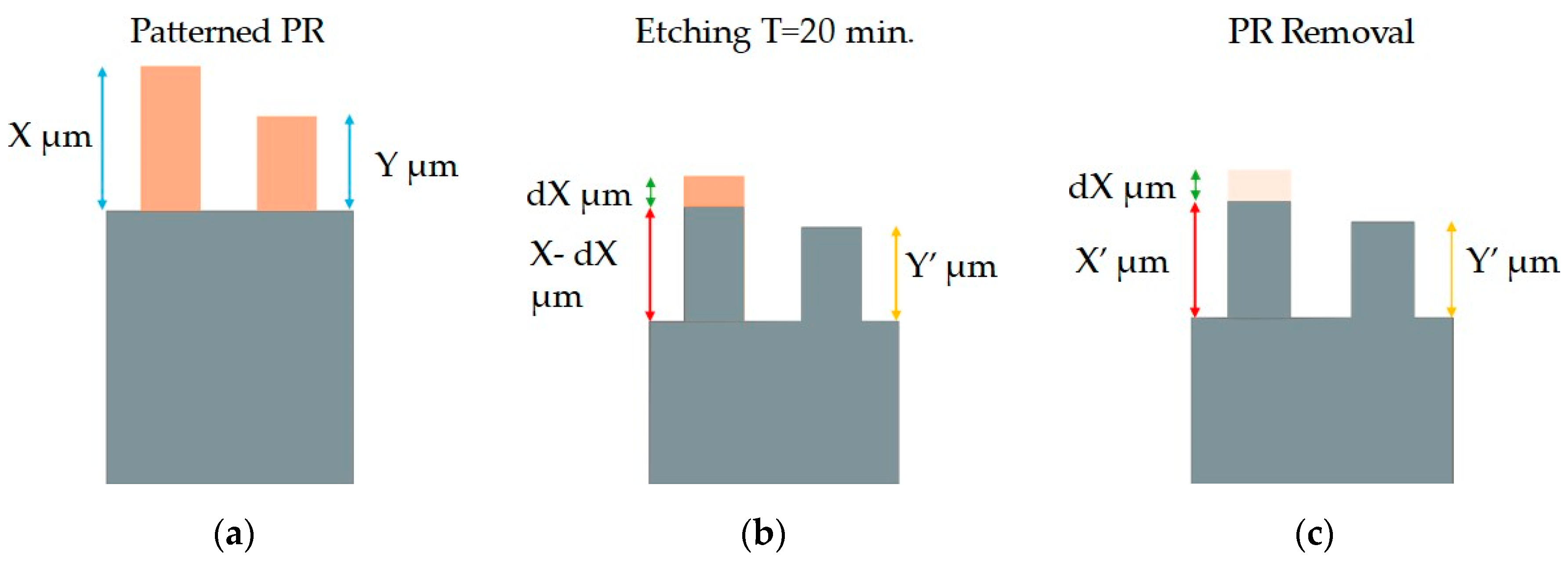 Preprints 110081 g003