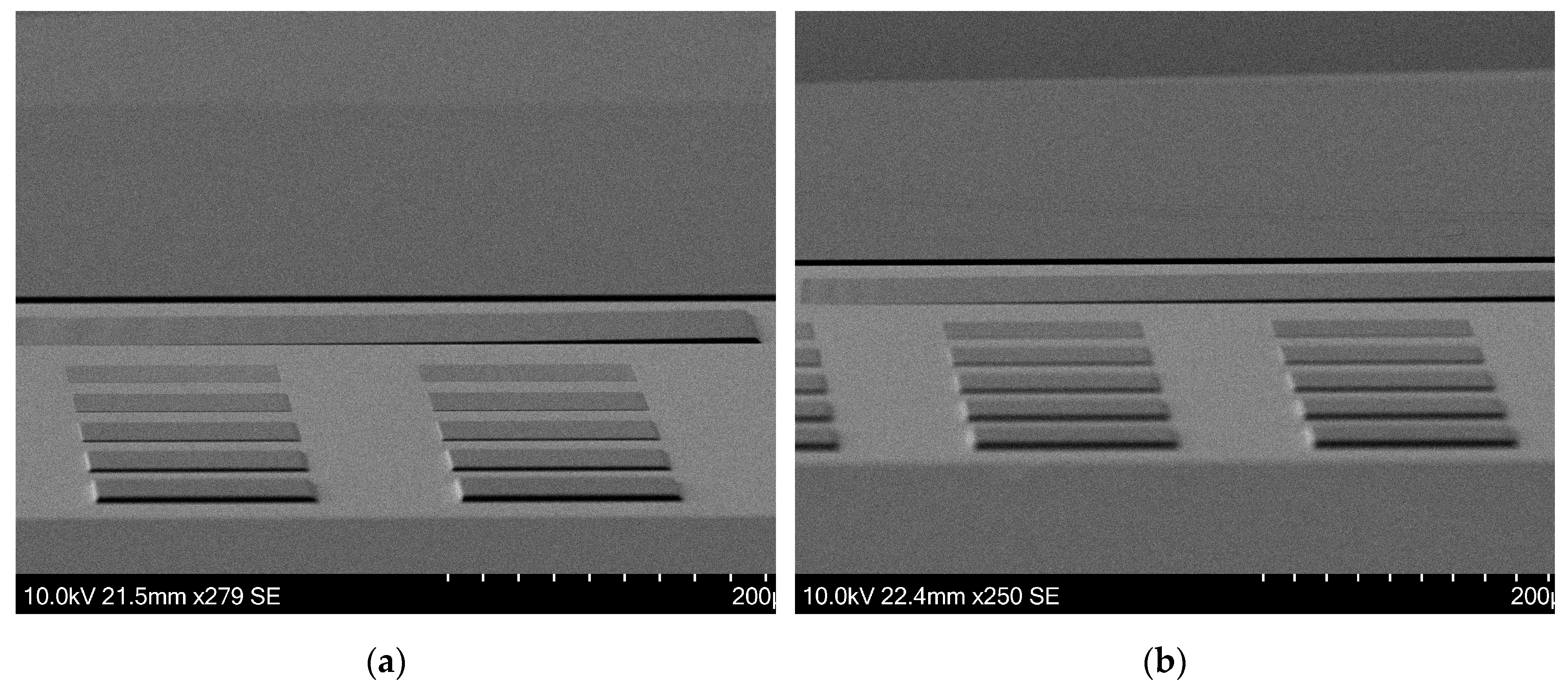 Preprints 110081 g006