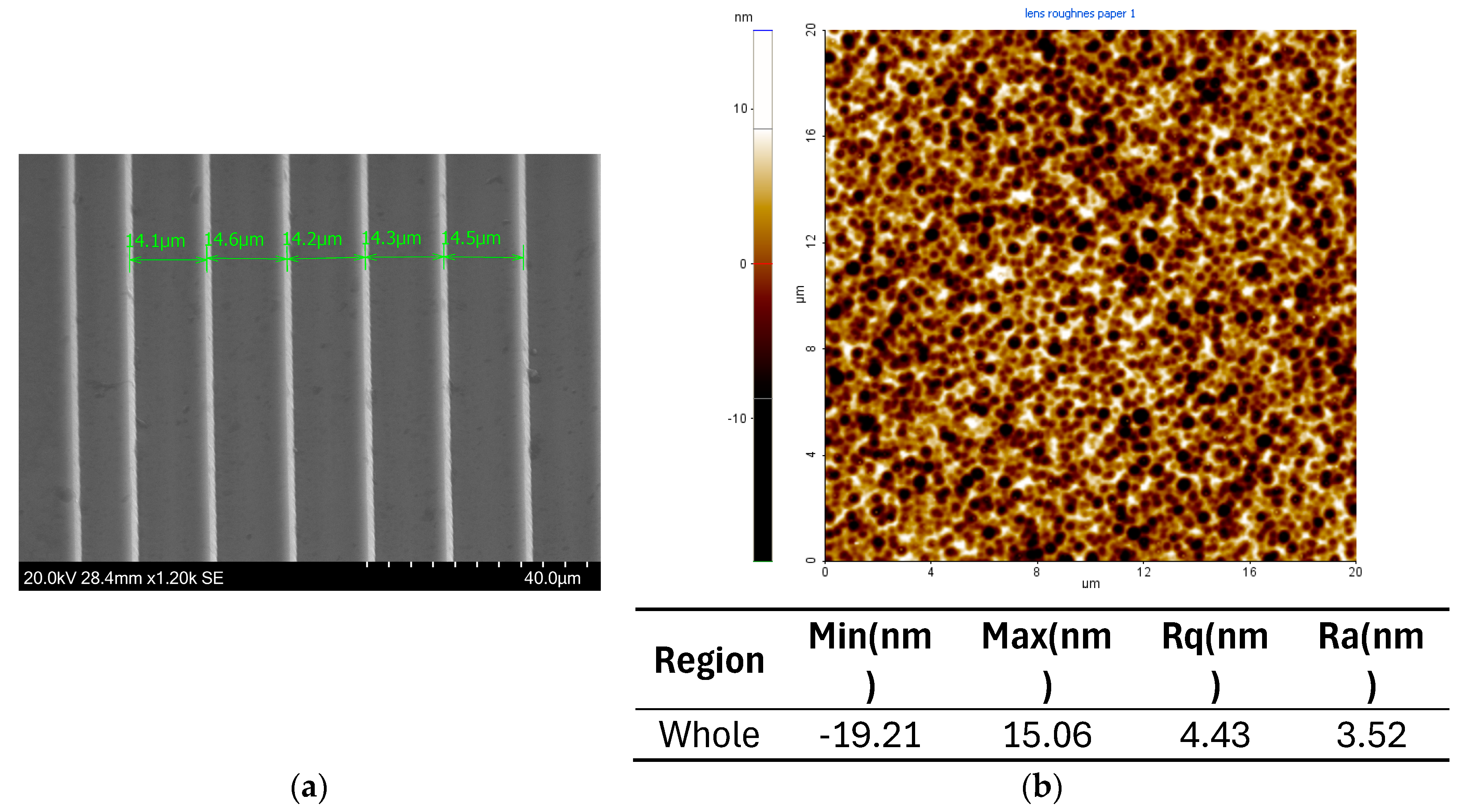 Preprints 110081 g010