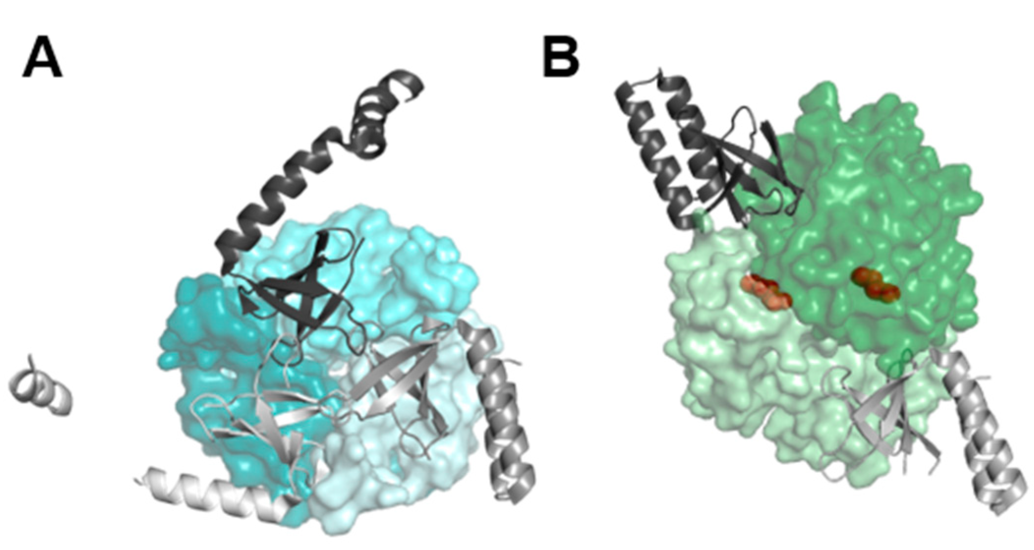 Preprints 84411 g001