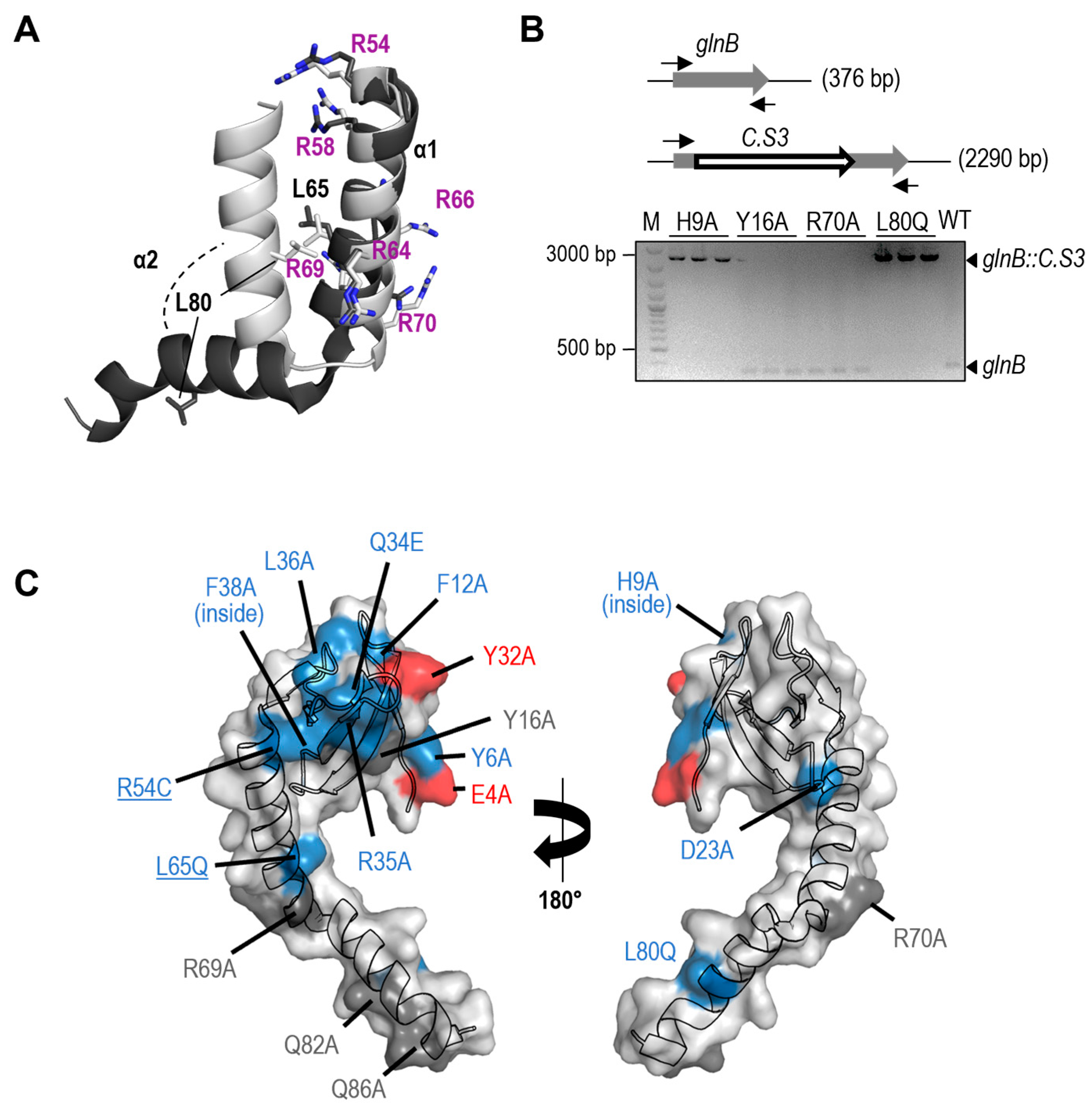 Preprints 84411 g002