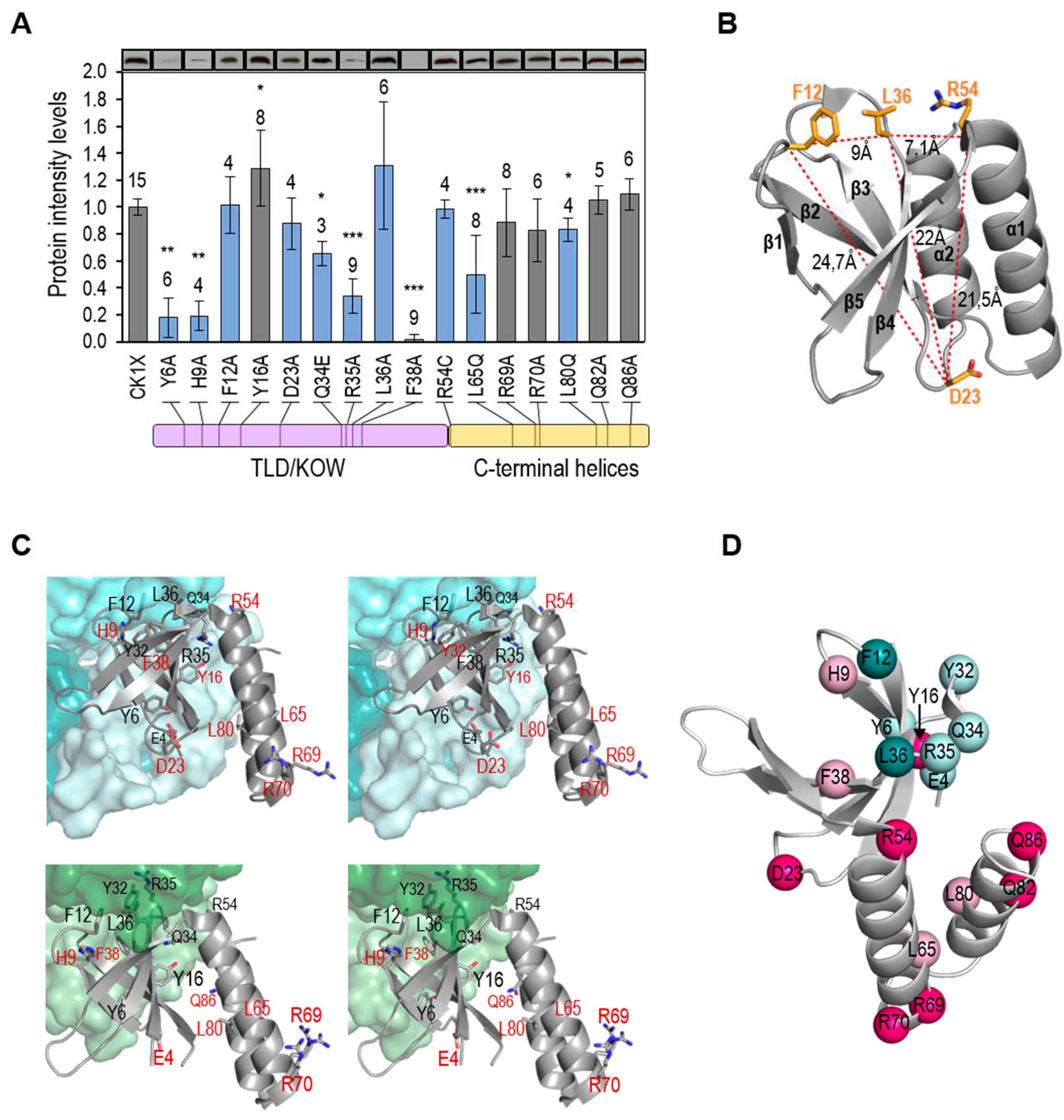 Preprints 84411 g003