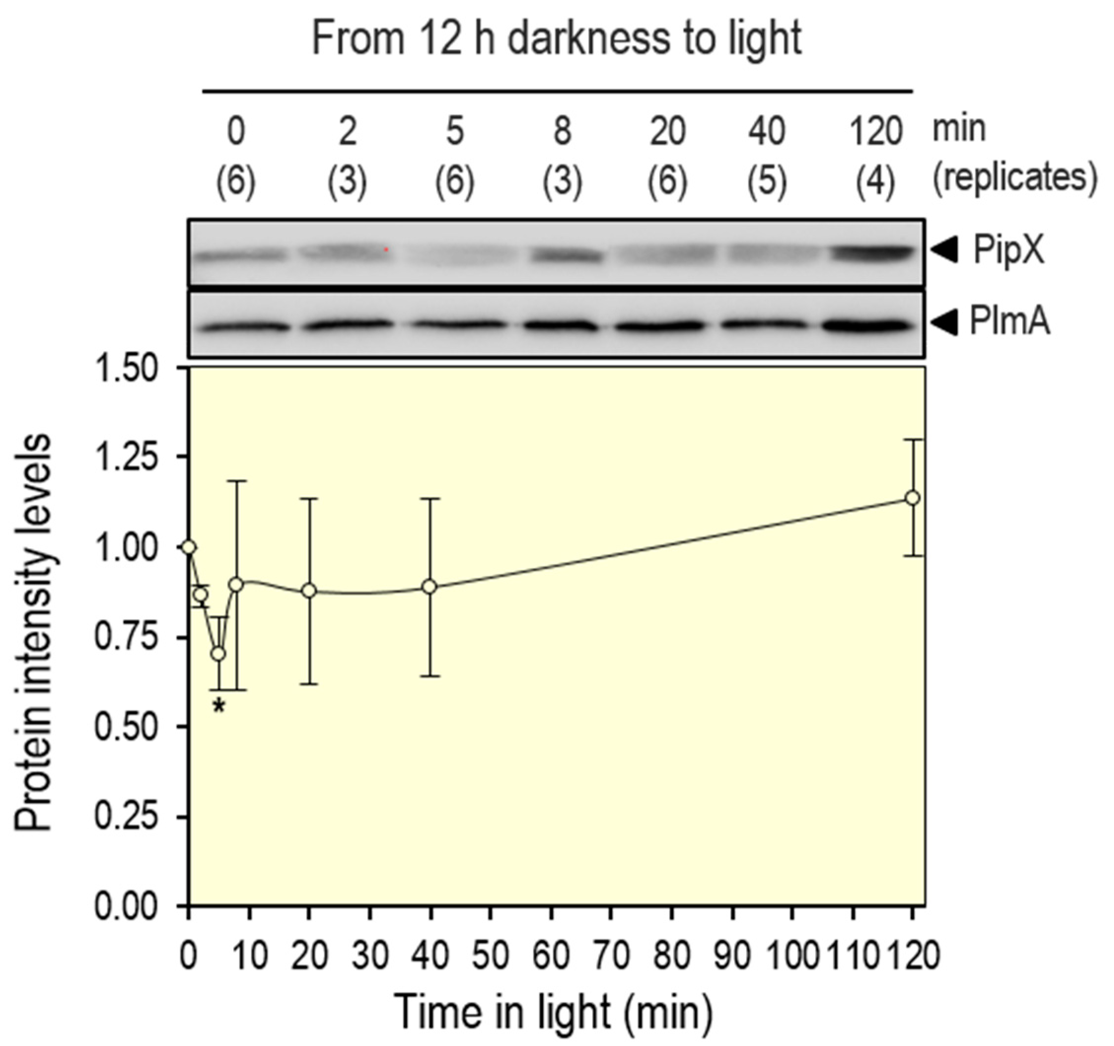 Preprints 84411 g004