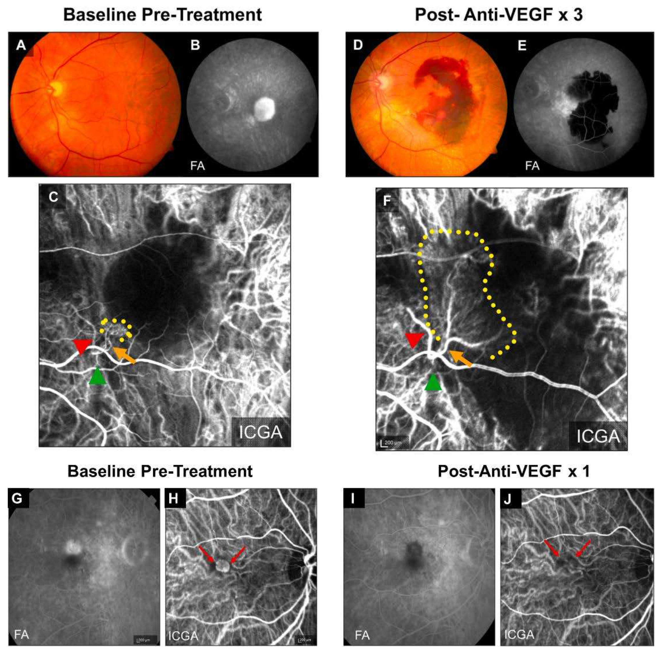 Preprints 96275 g001