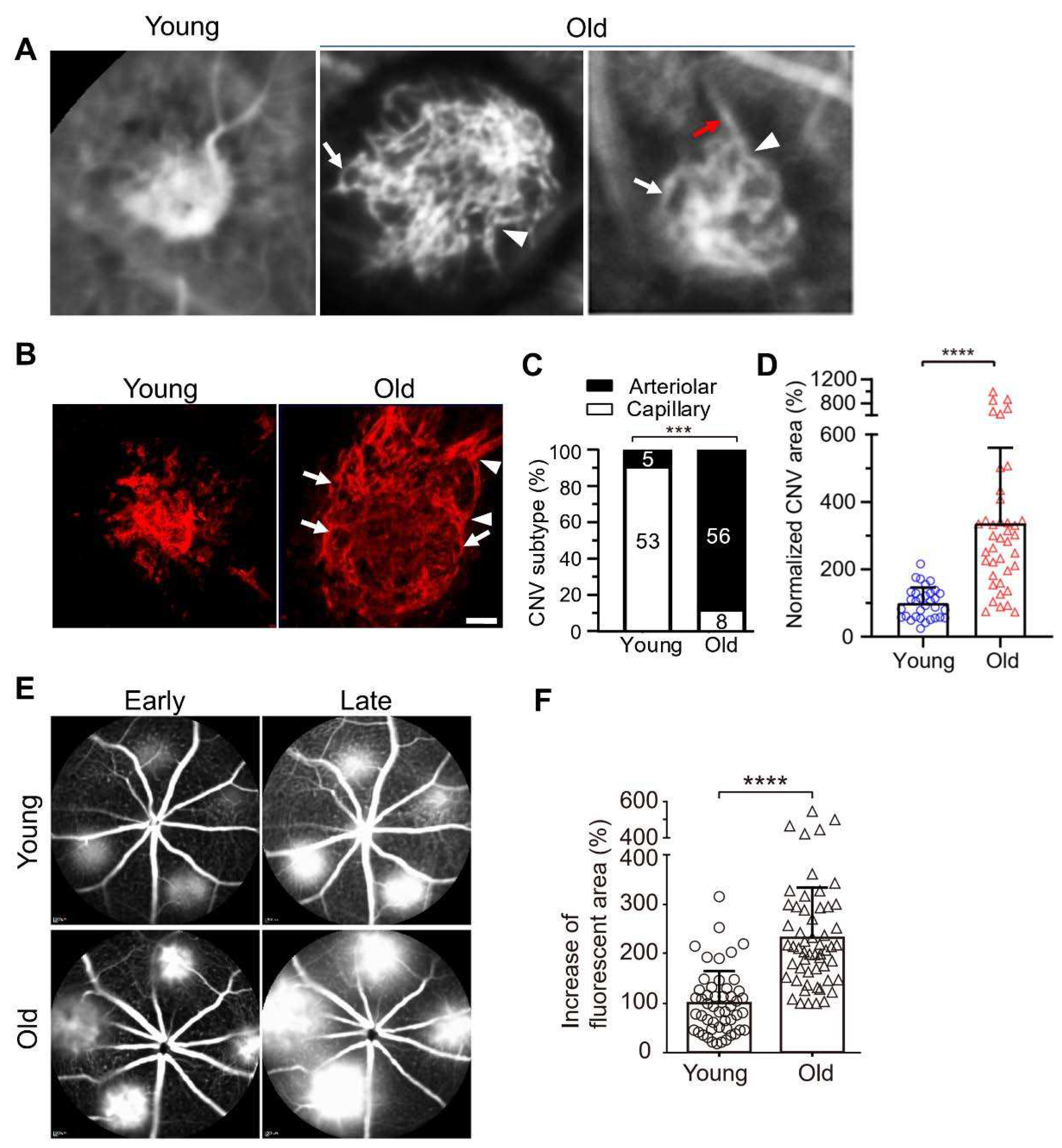 Preprints 96275 g002