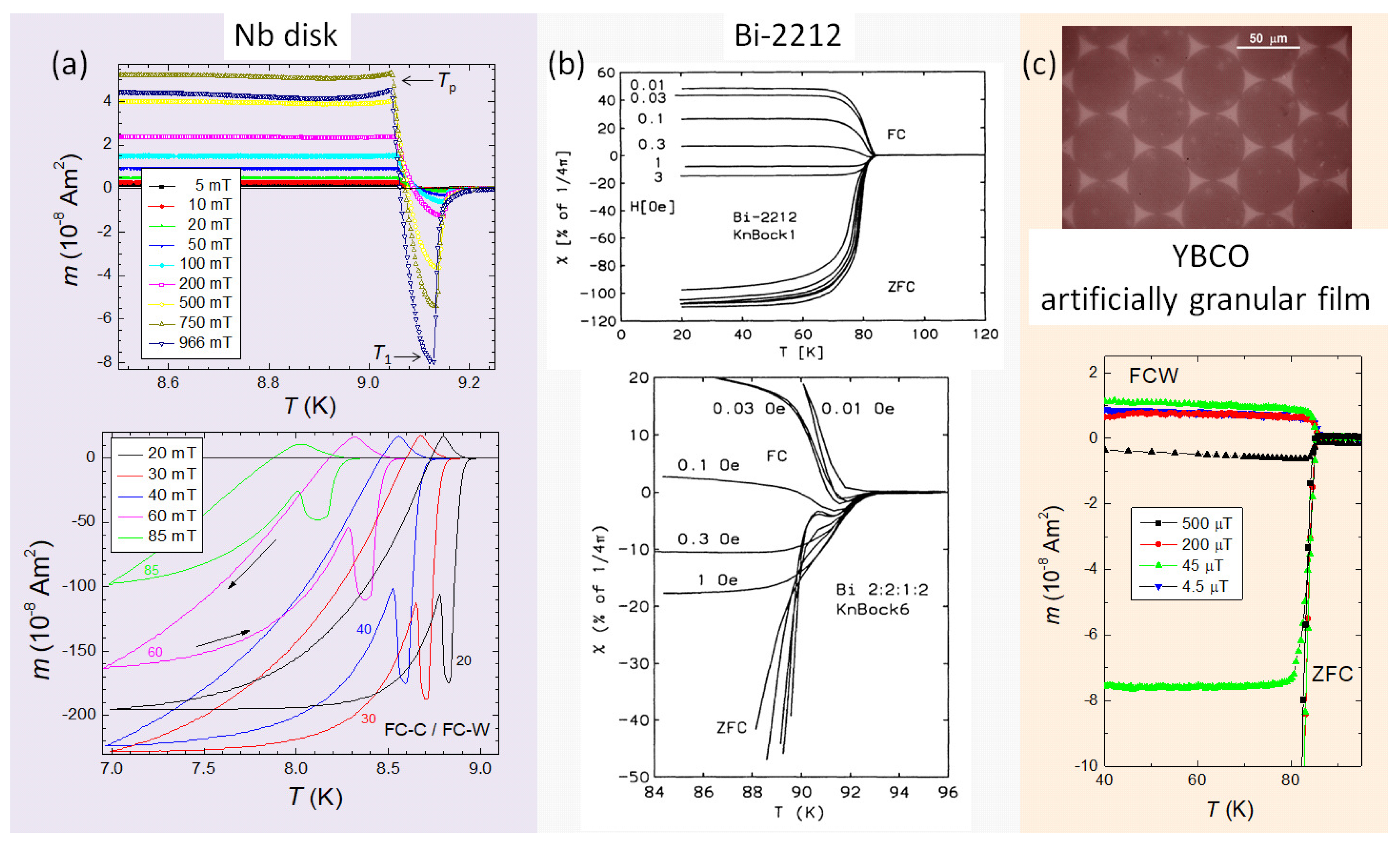 Preprints 72457 g001