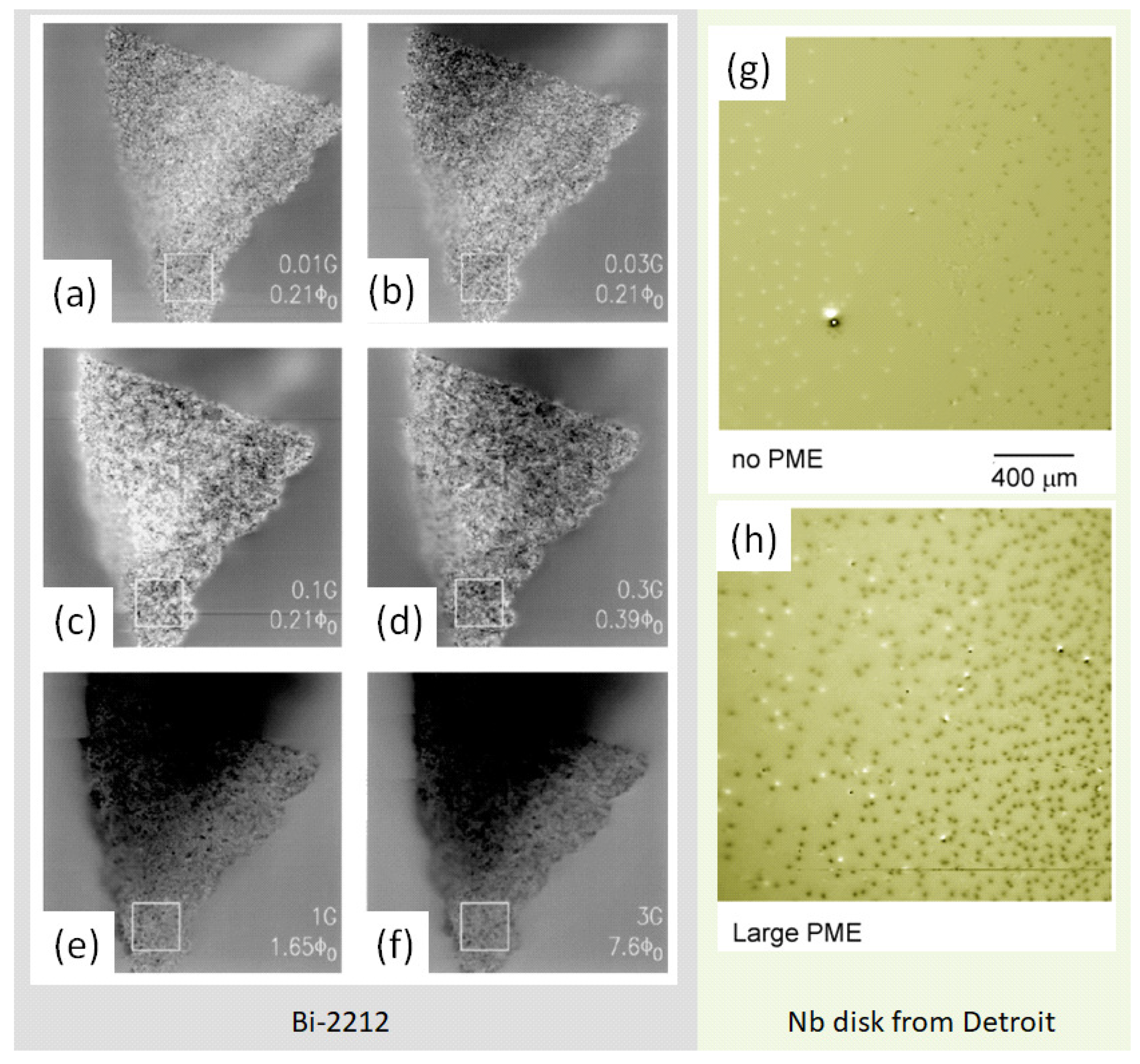 Preprints 72457 g018