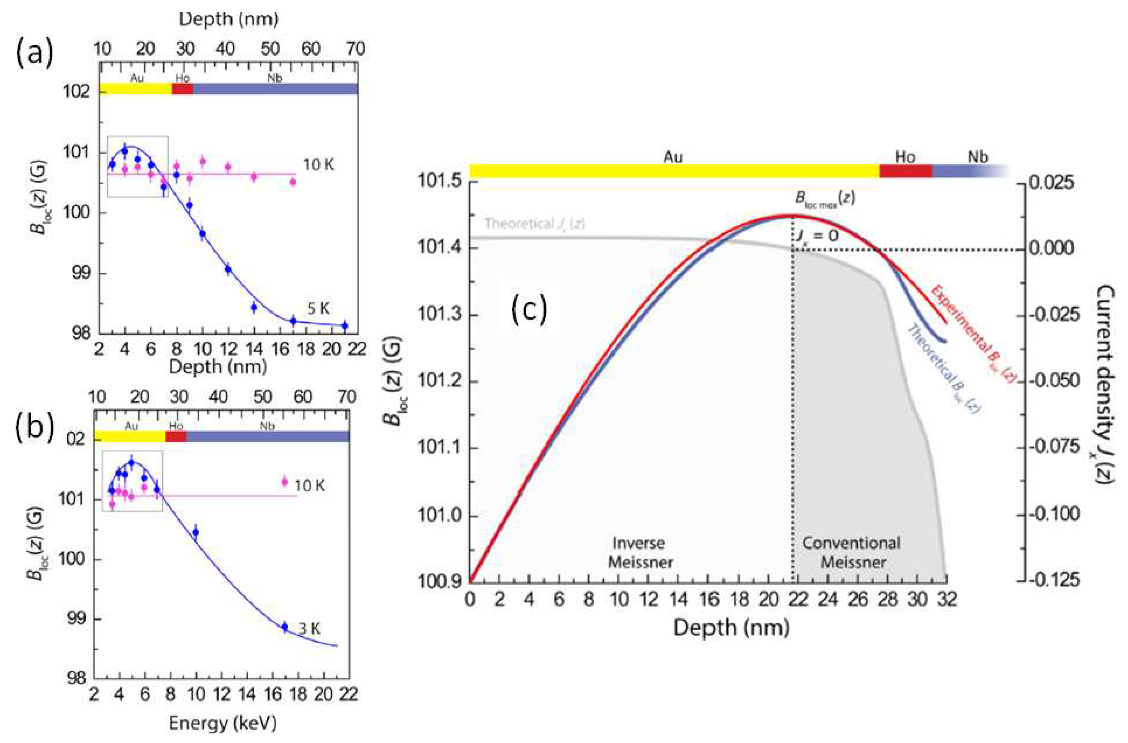 Preprints 72457 g021