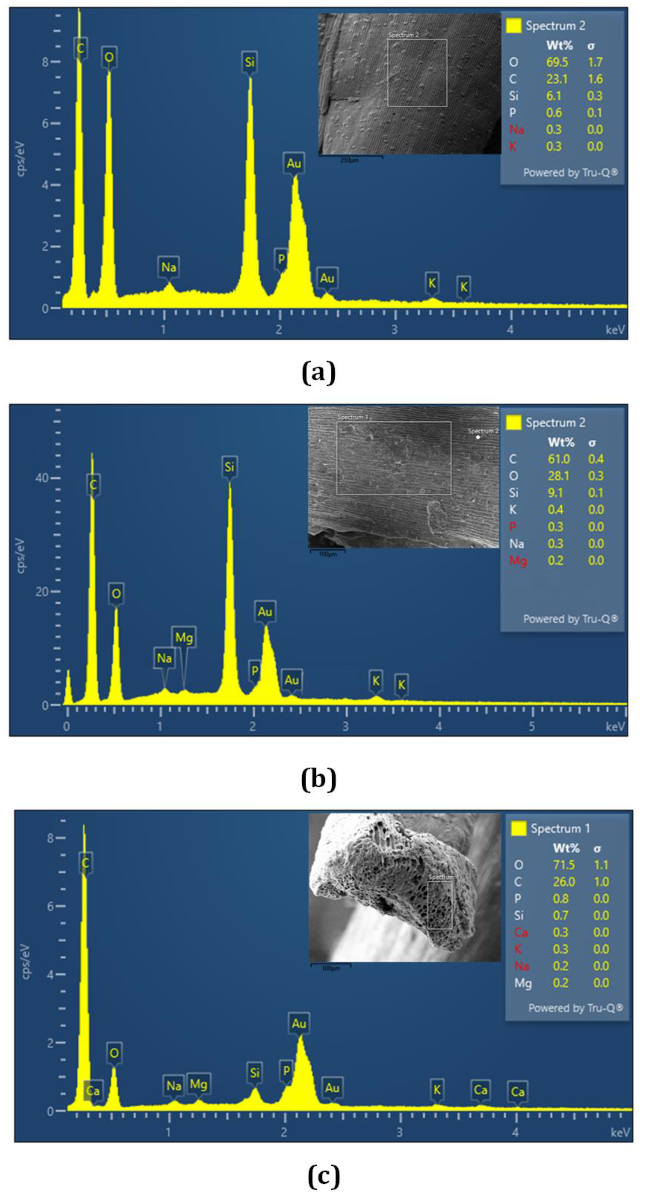 Preprints 111464 g003