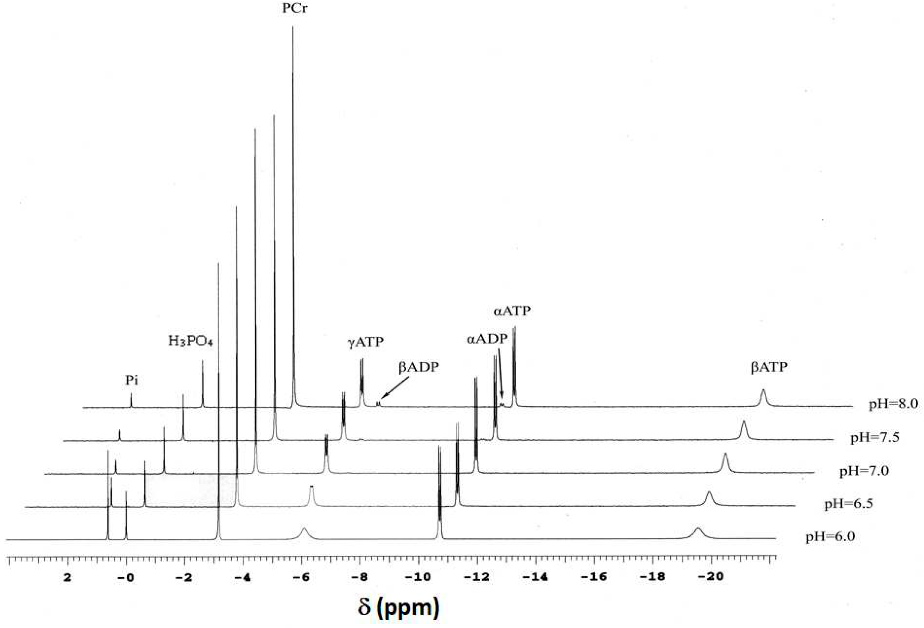 Preprints 83091 g001