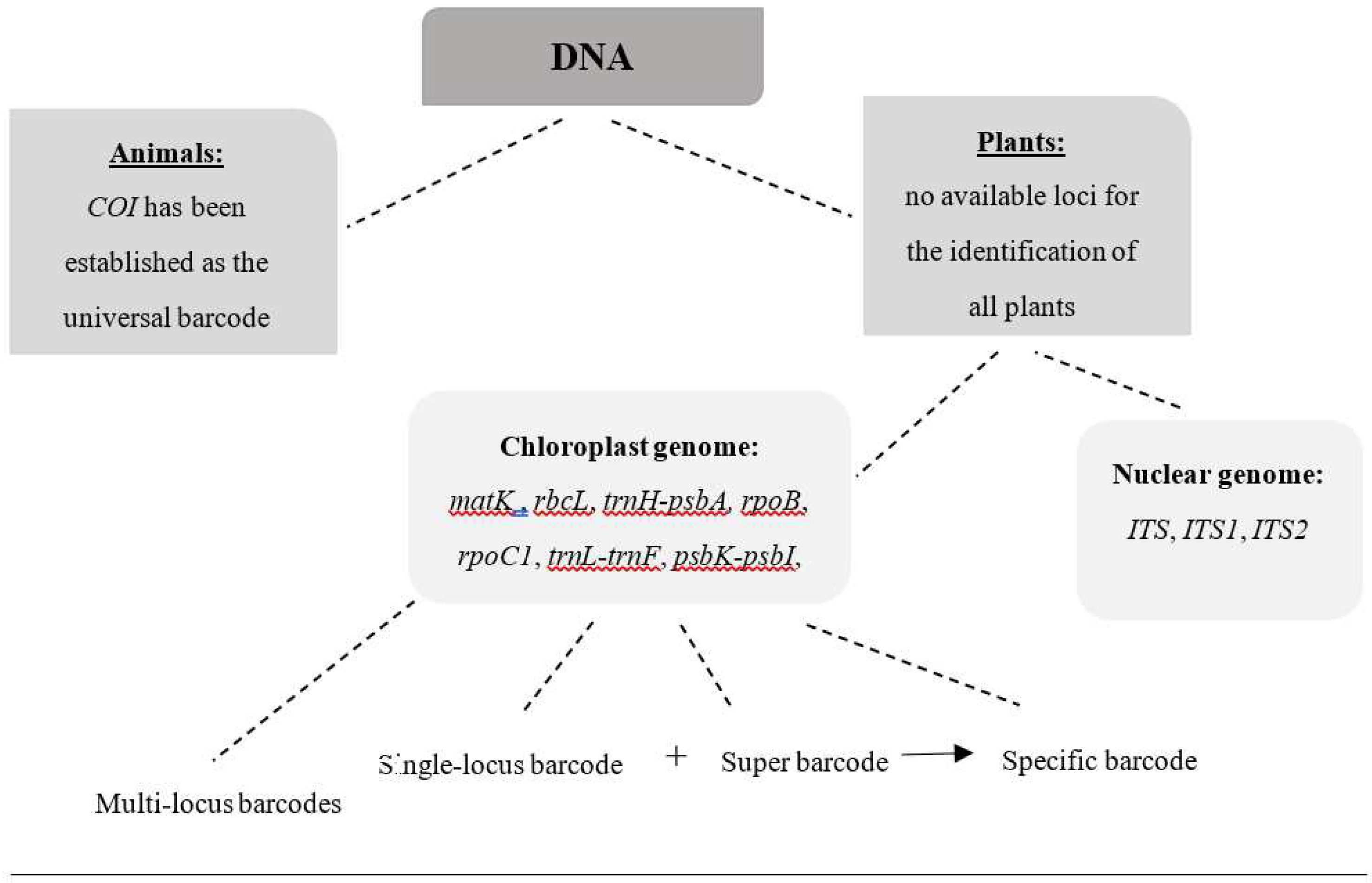 Preprints 92617 g001