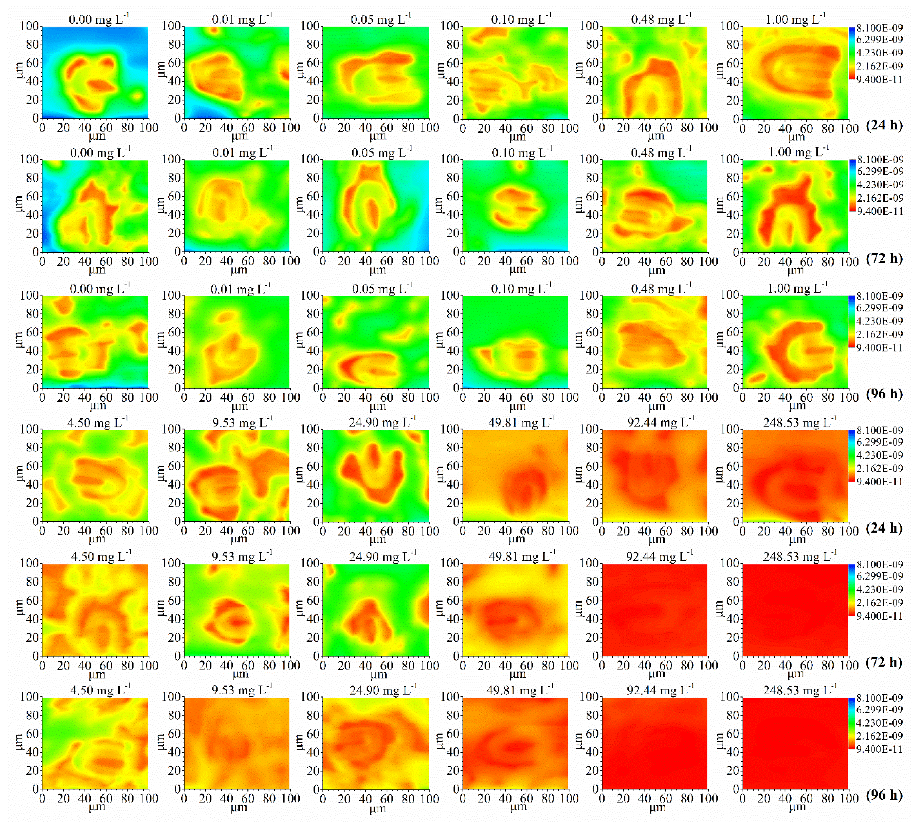 Preprints 100644 g001