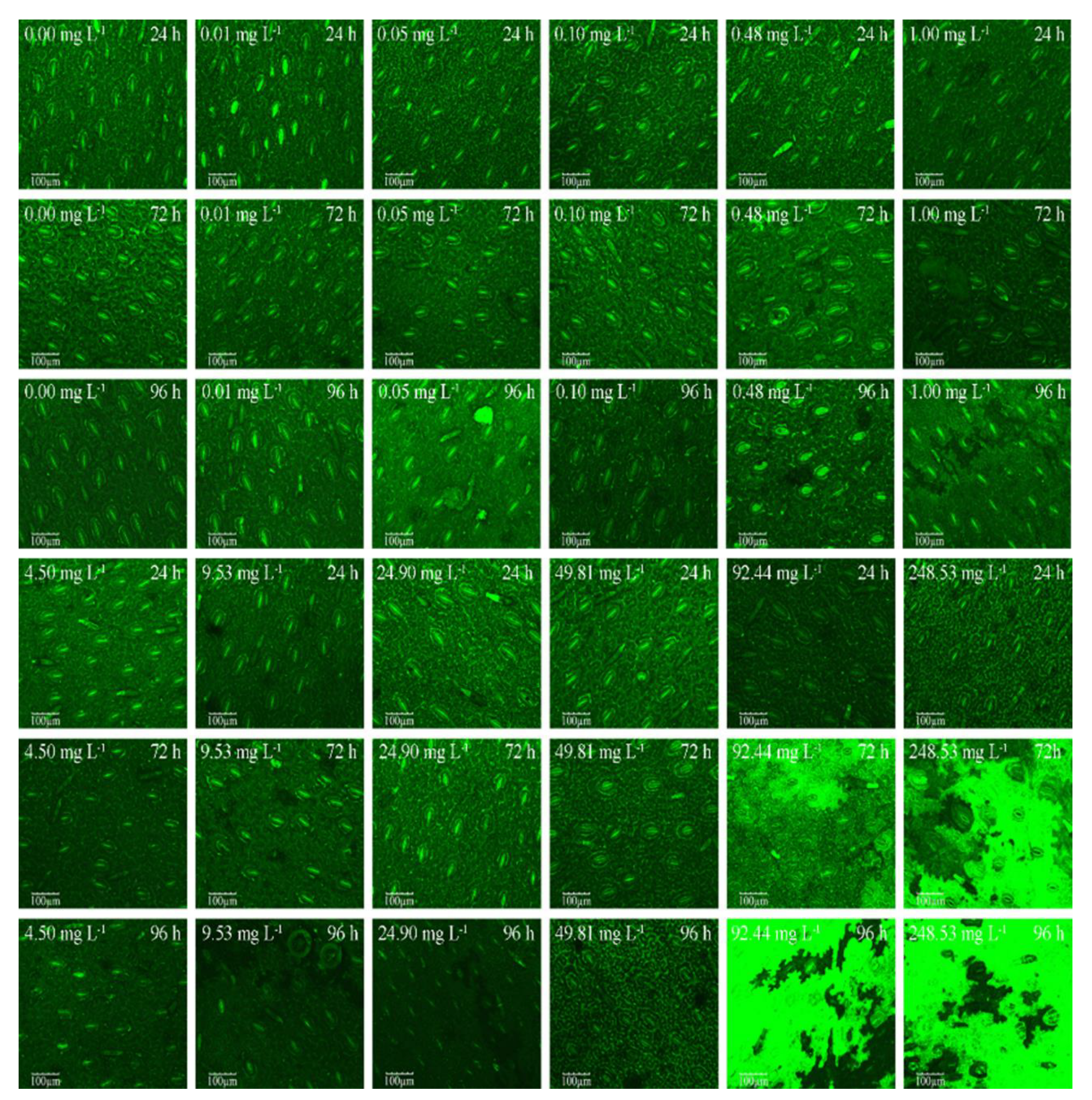 Preprints 100644 g002