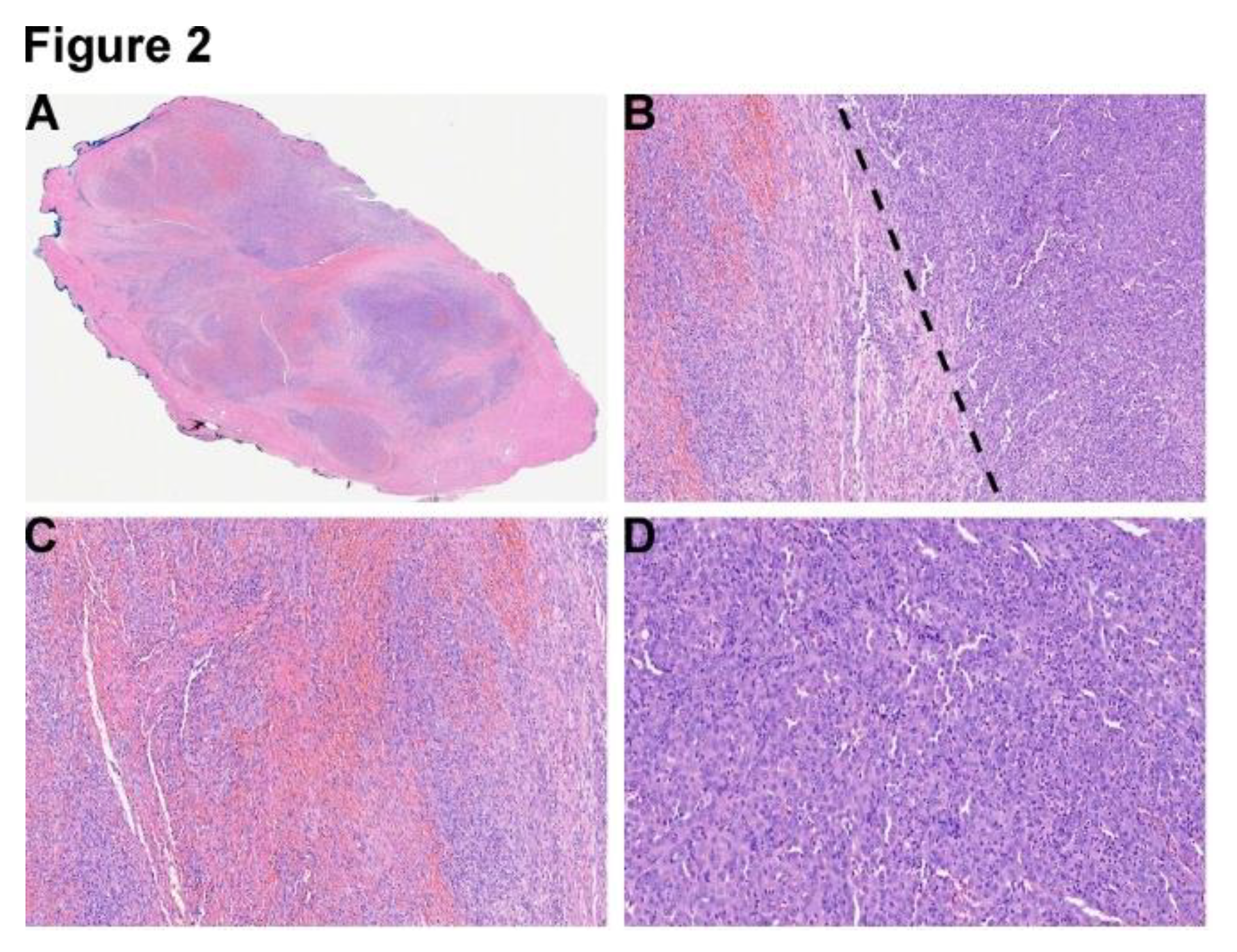 Preprints 95433 g002