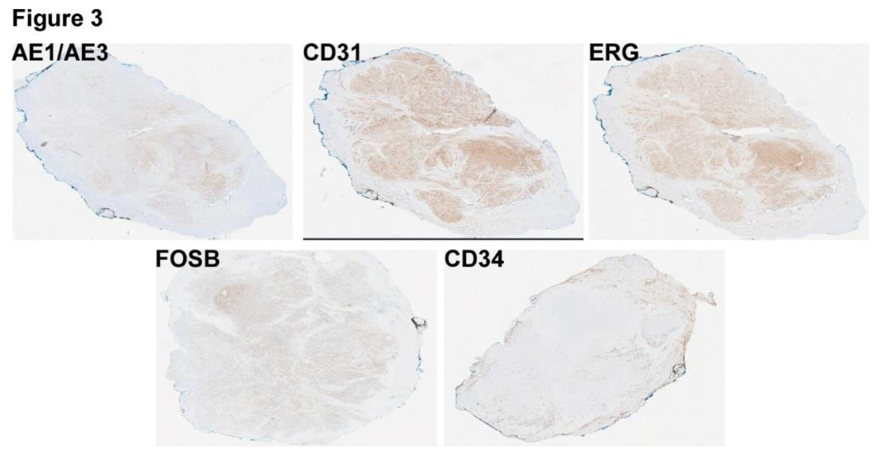 Preprints 95433 g003