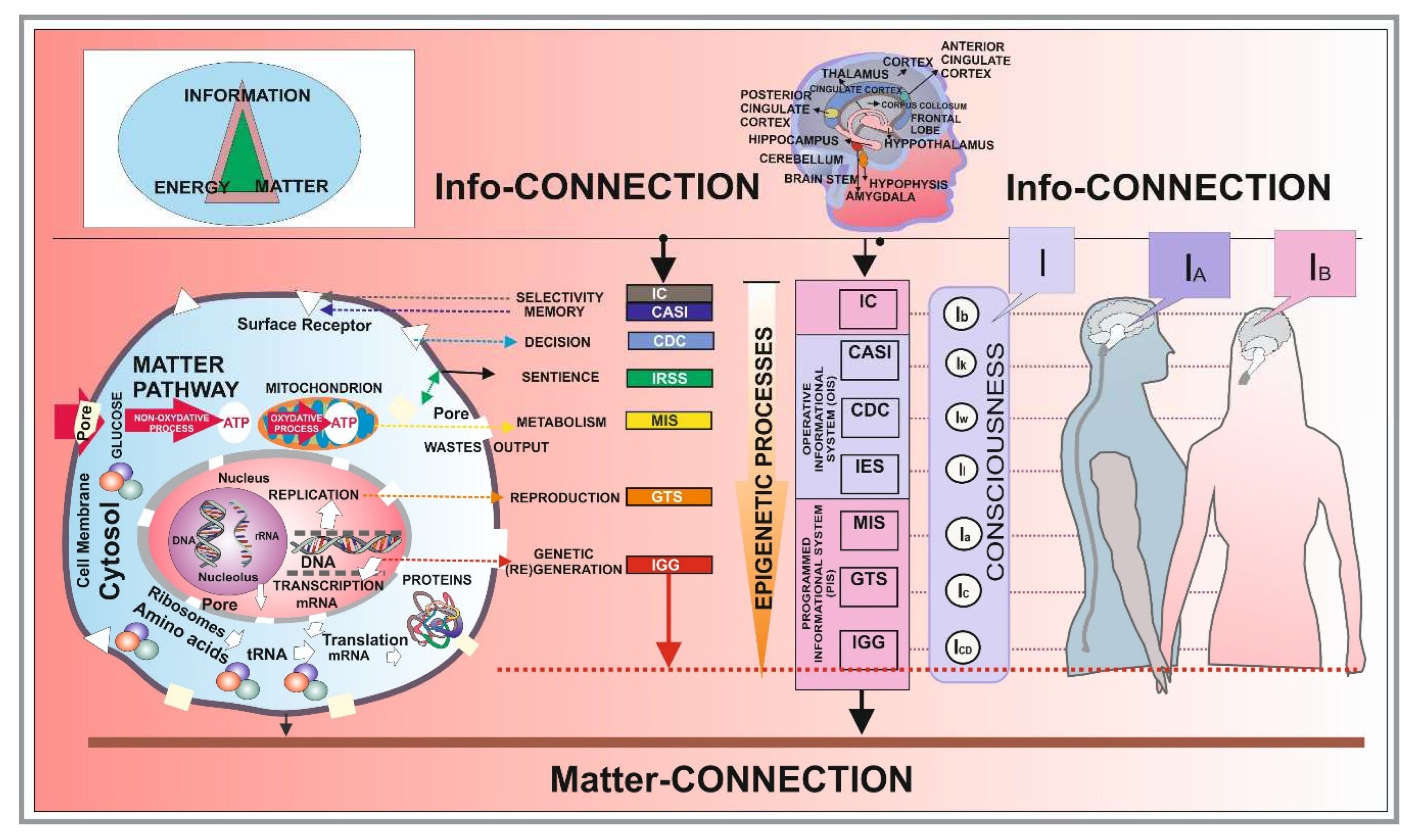 Preprints 70602 g001