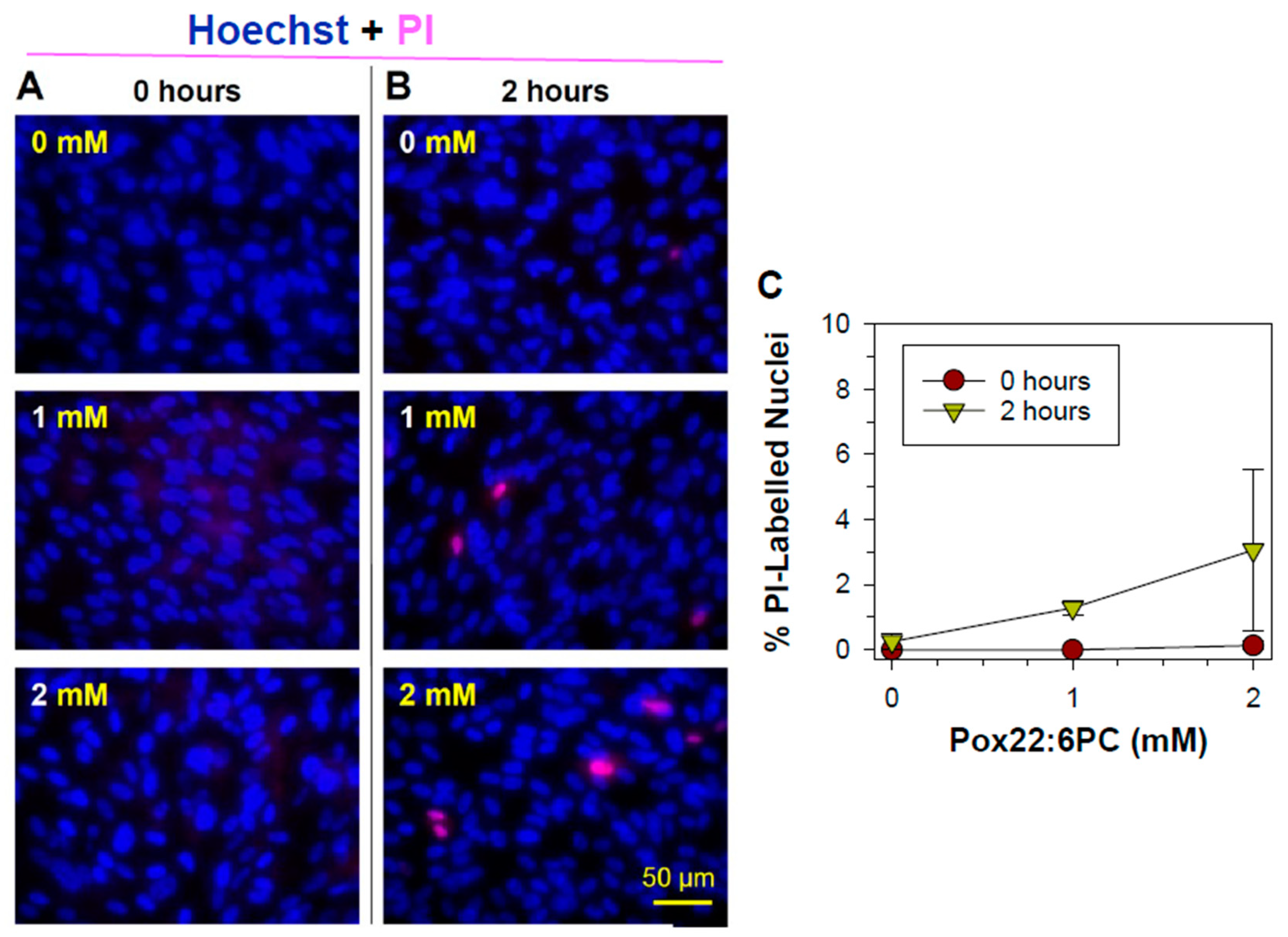 Preprints 120904 g003