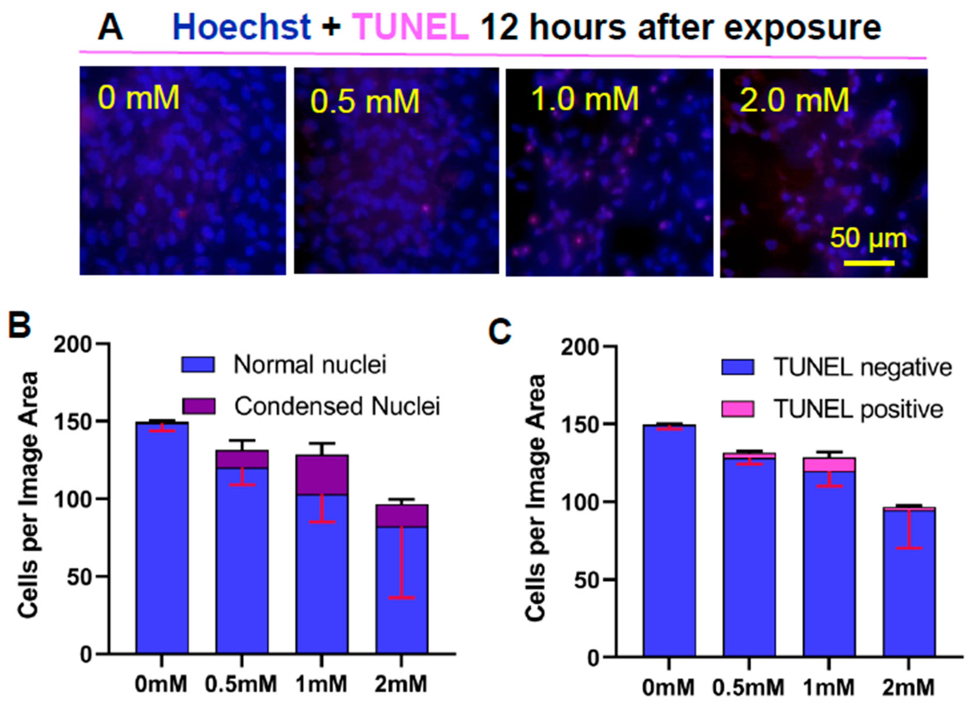 Preprints 120904 g004