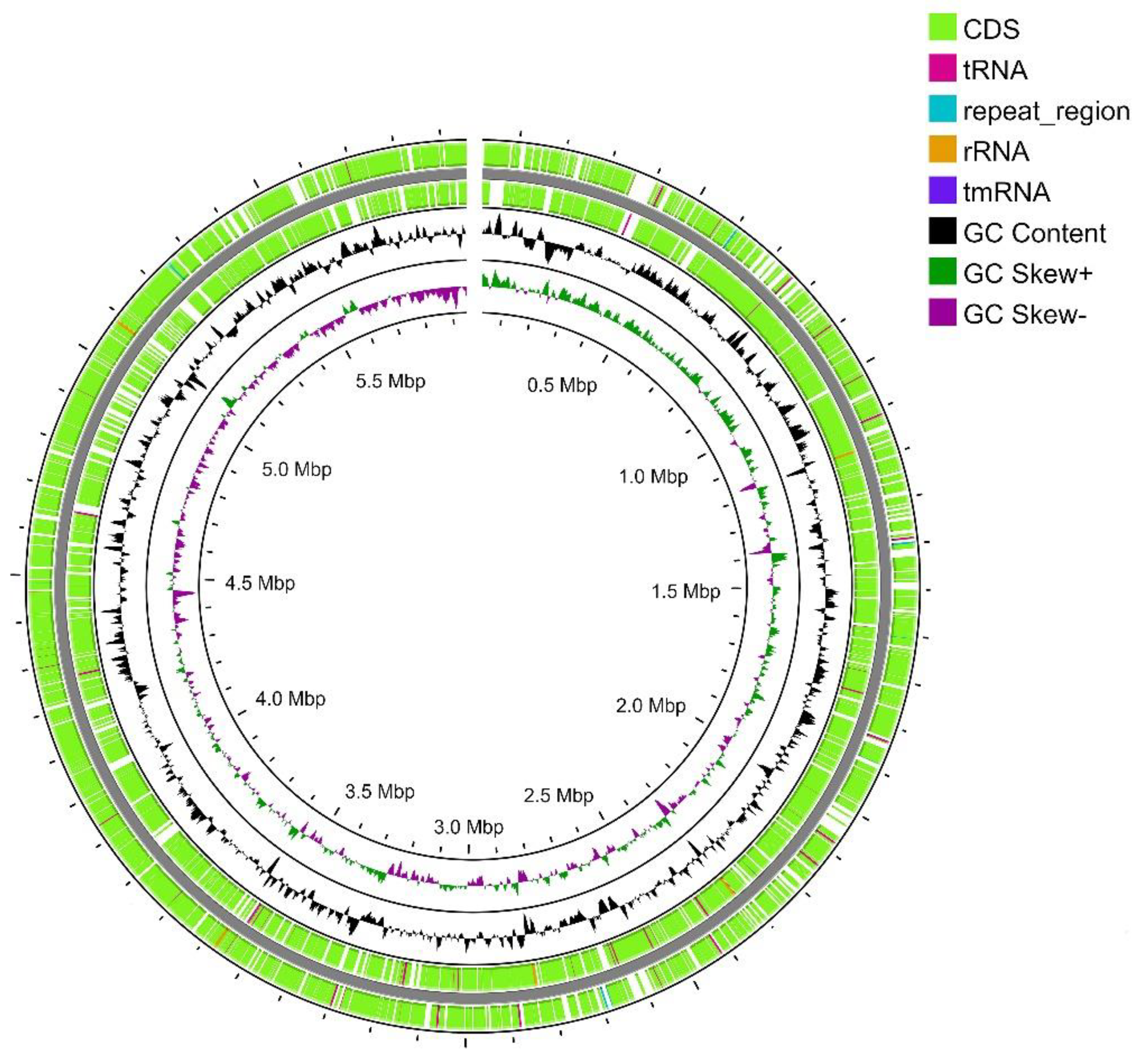 Preprints 87097 g001