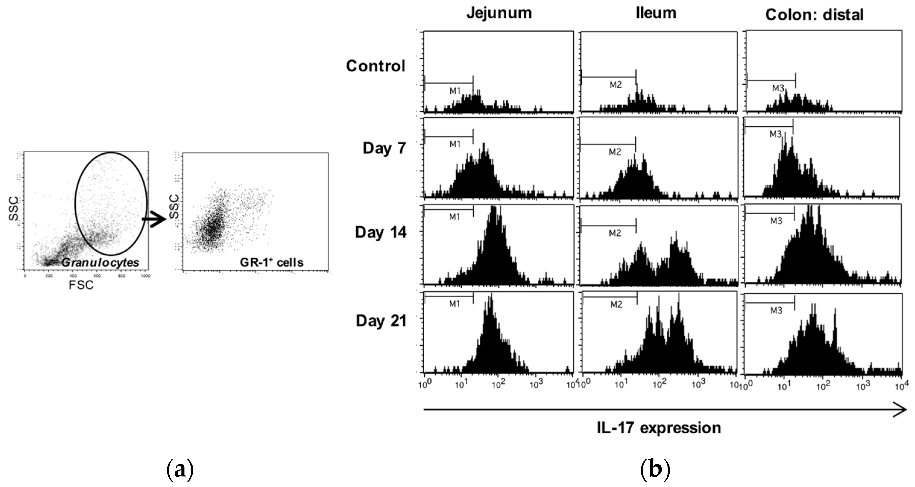 Preprints 84911 g003