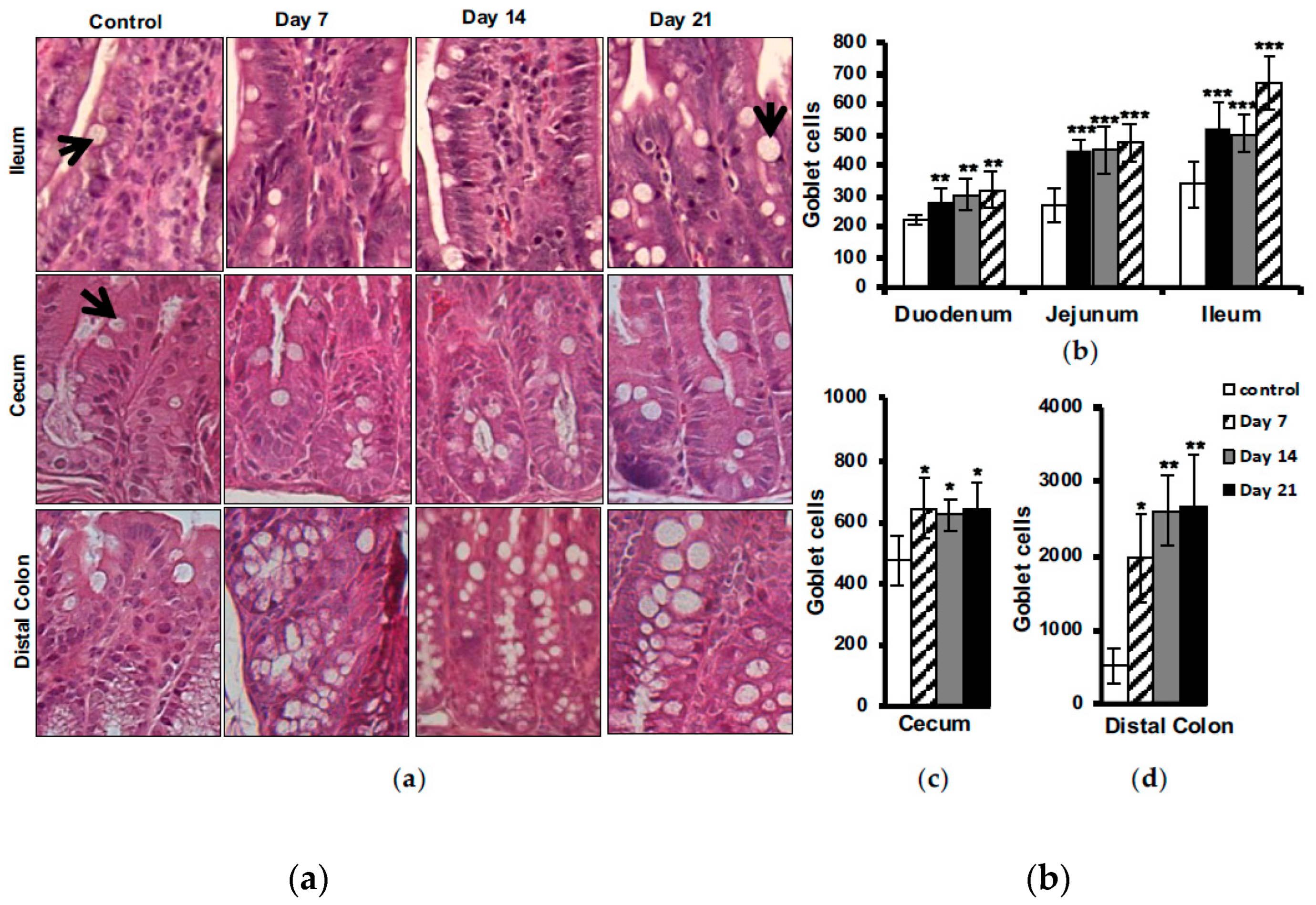 Preprints 84911 g005