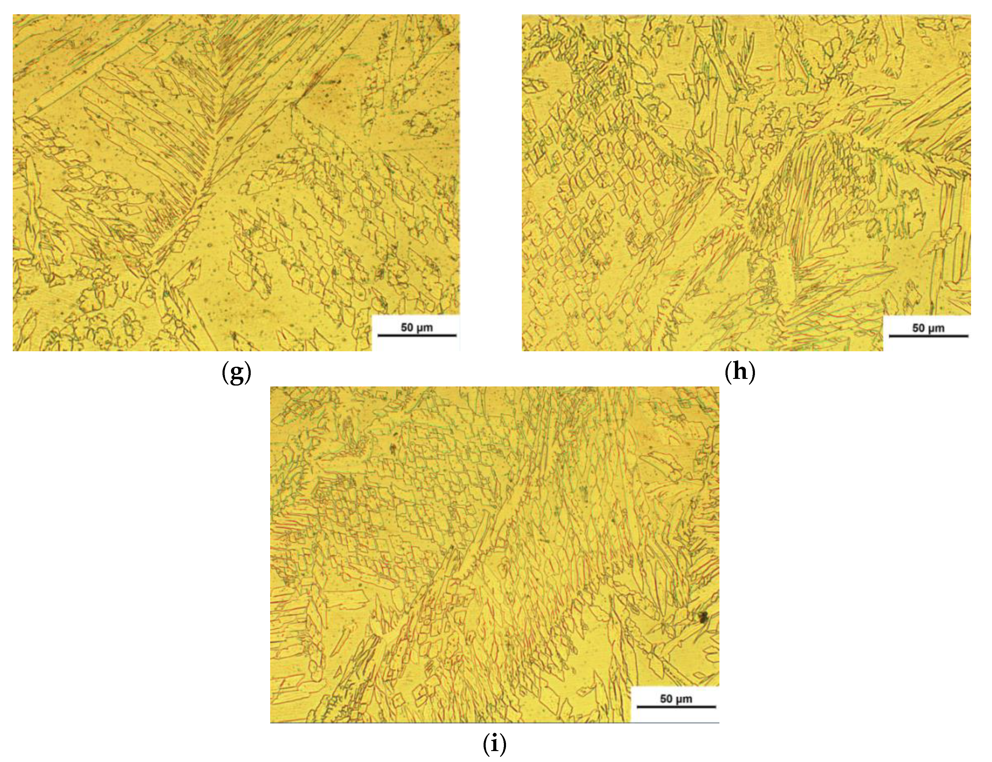 Preprints 71418 g006b