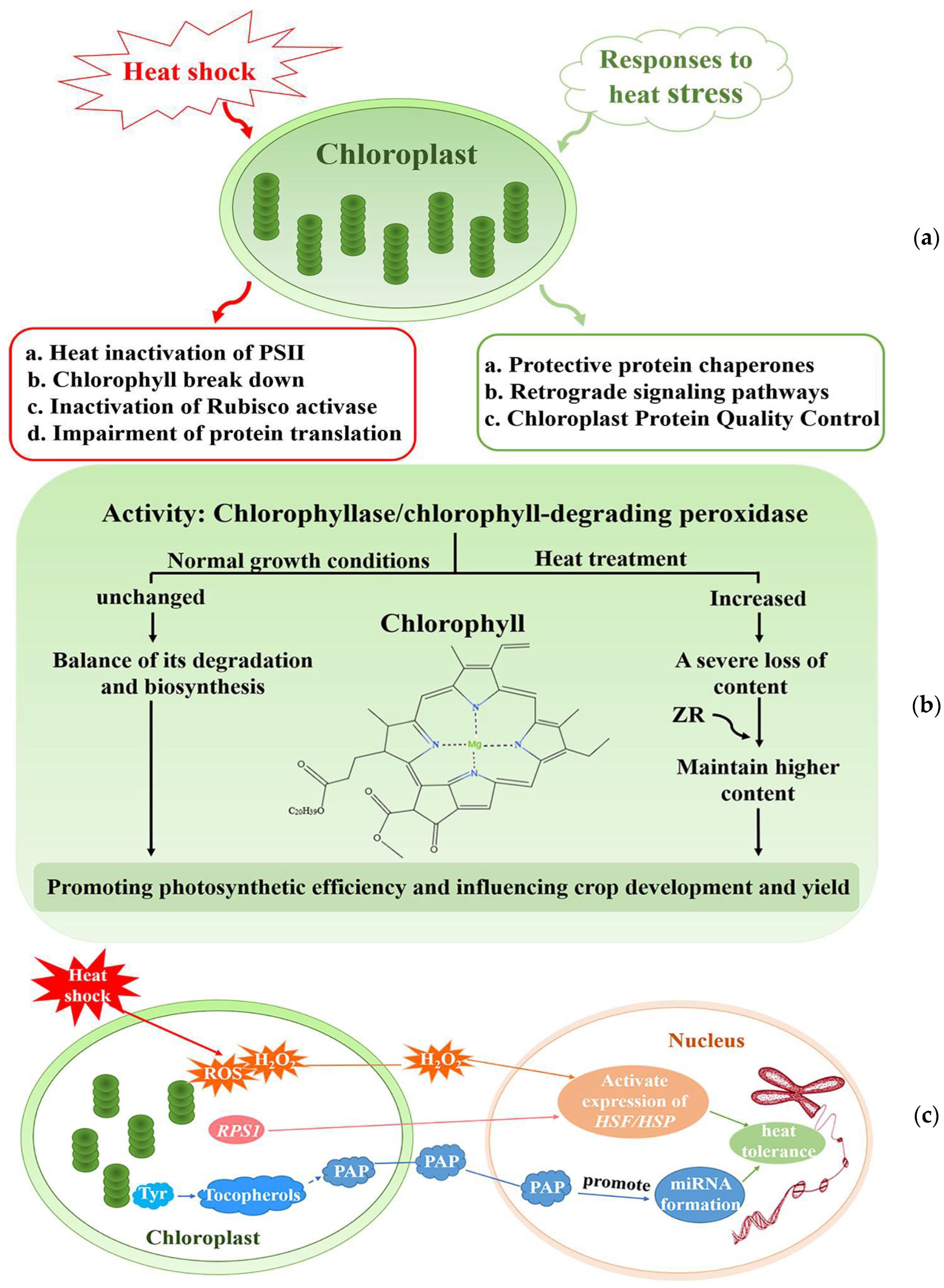 Preprints 86918 g003