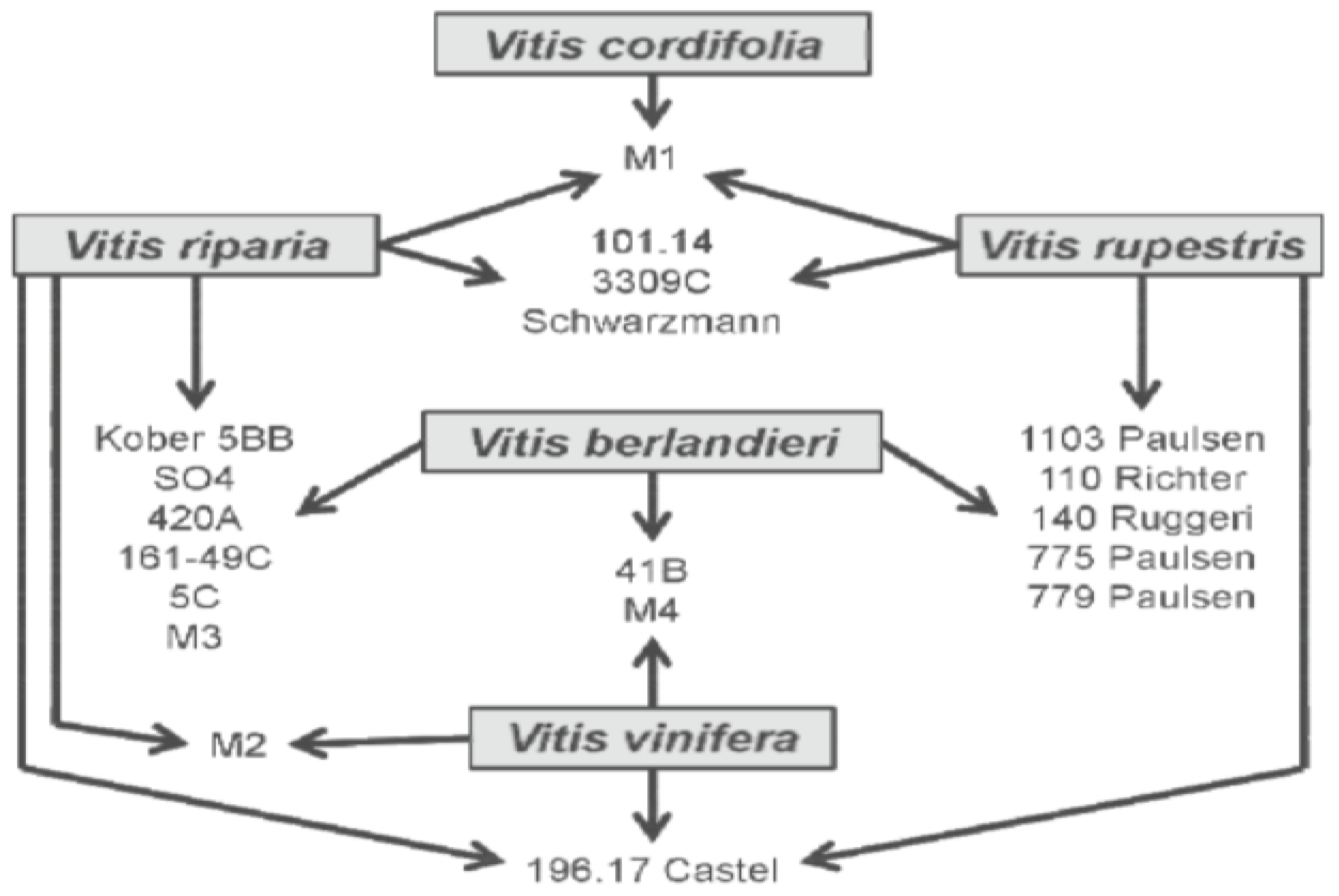 Preprints 86918 g006