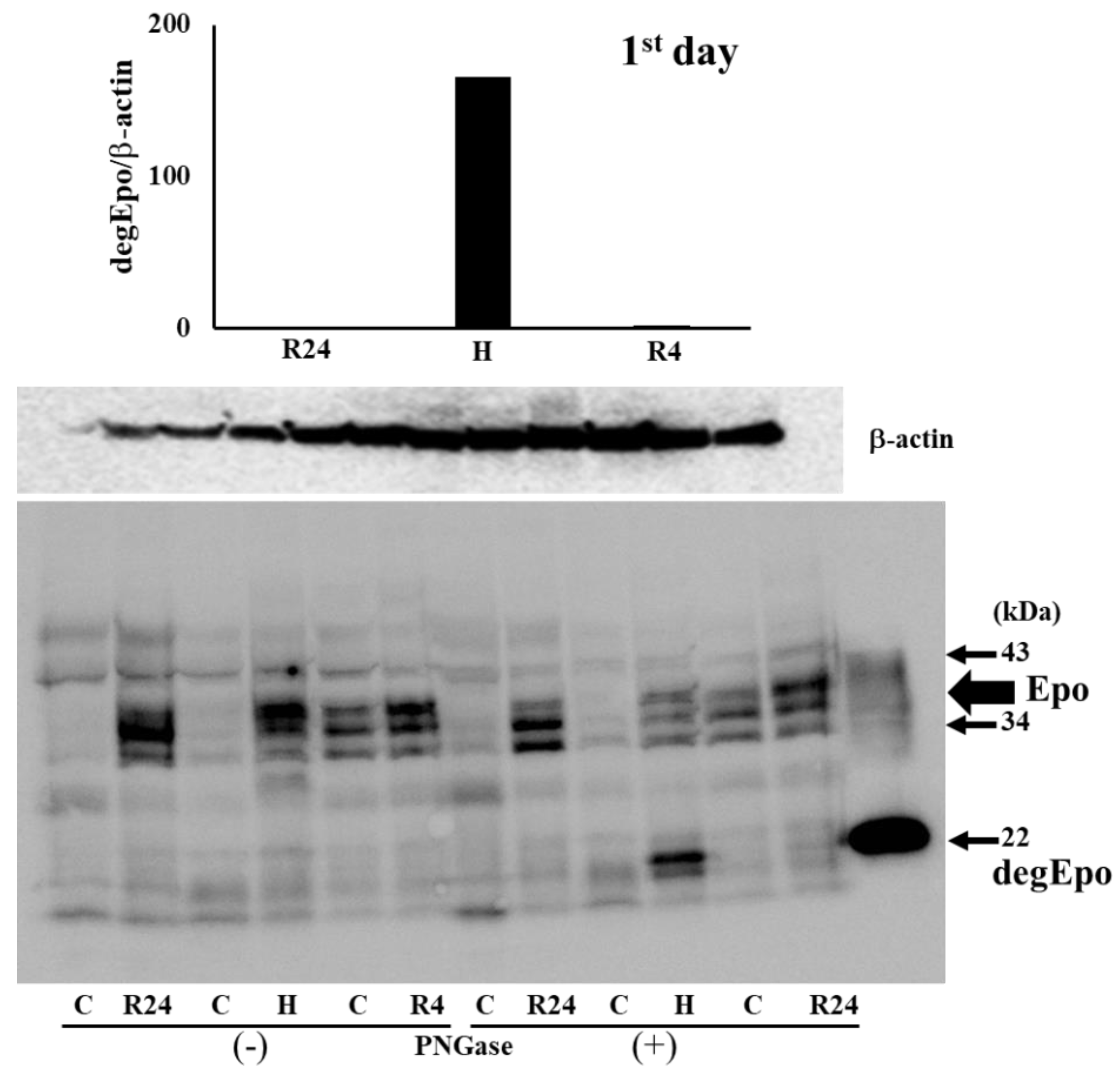 Preprints 91498 g003