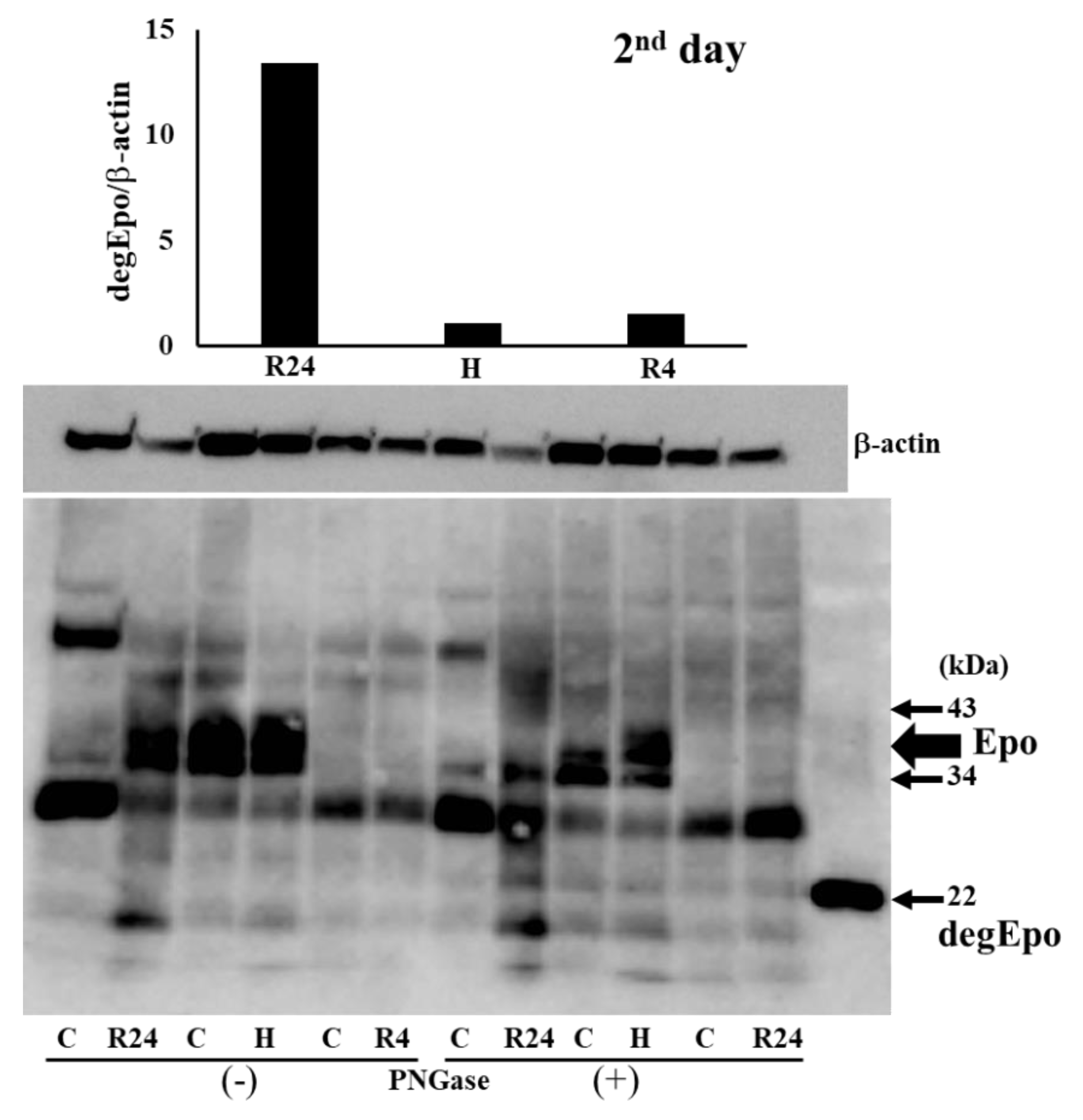 Preprints 91498 g004