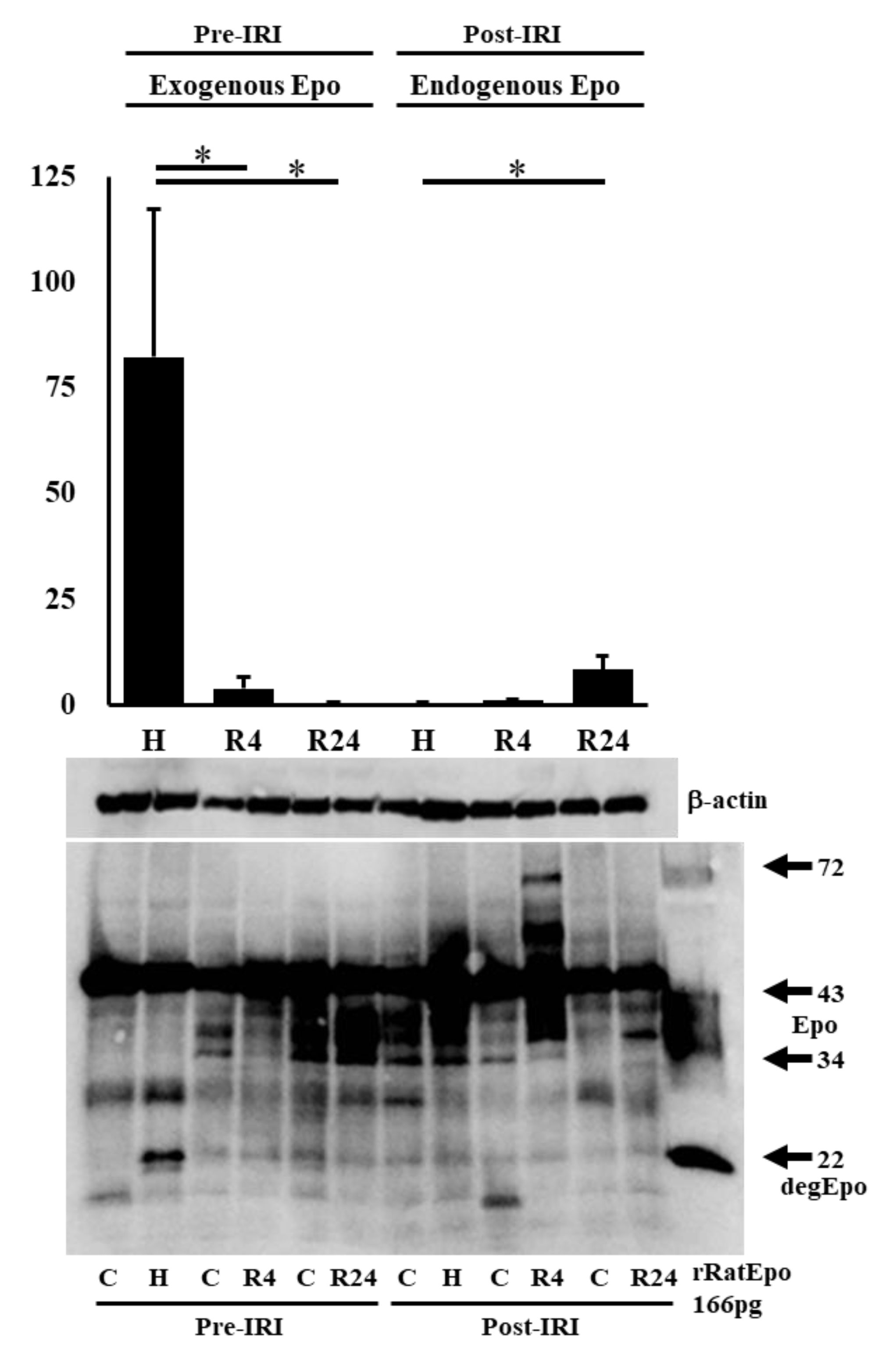 Preprints 91498 g005