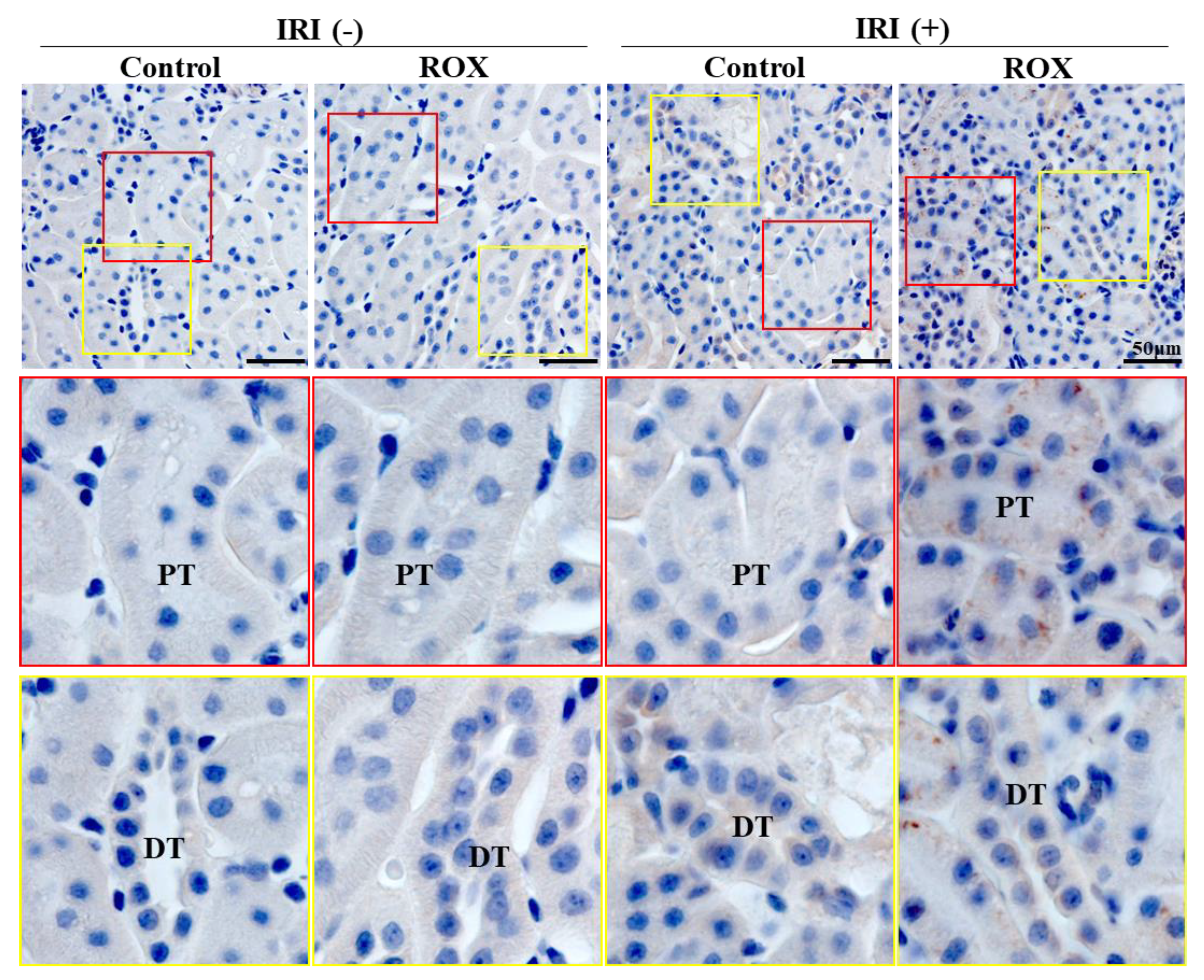 Preprints 91498 g007