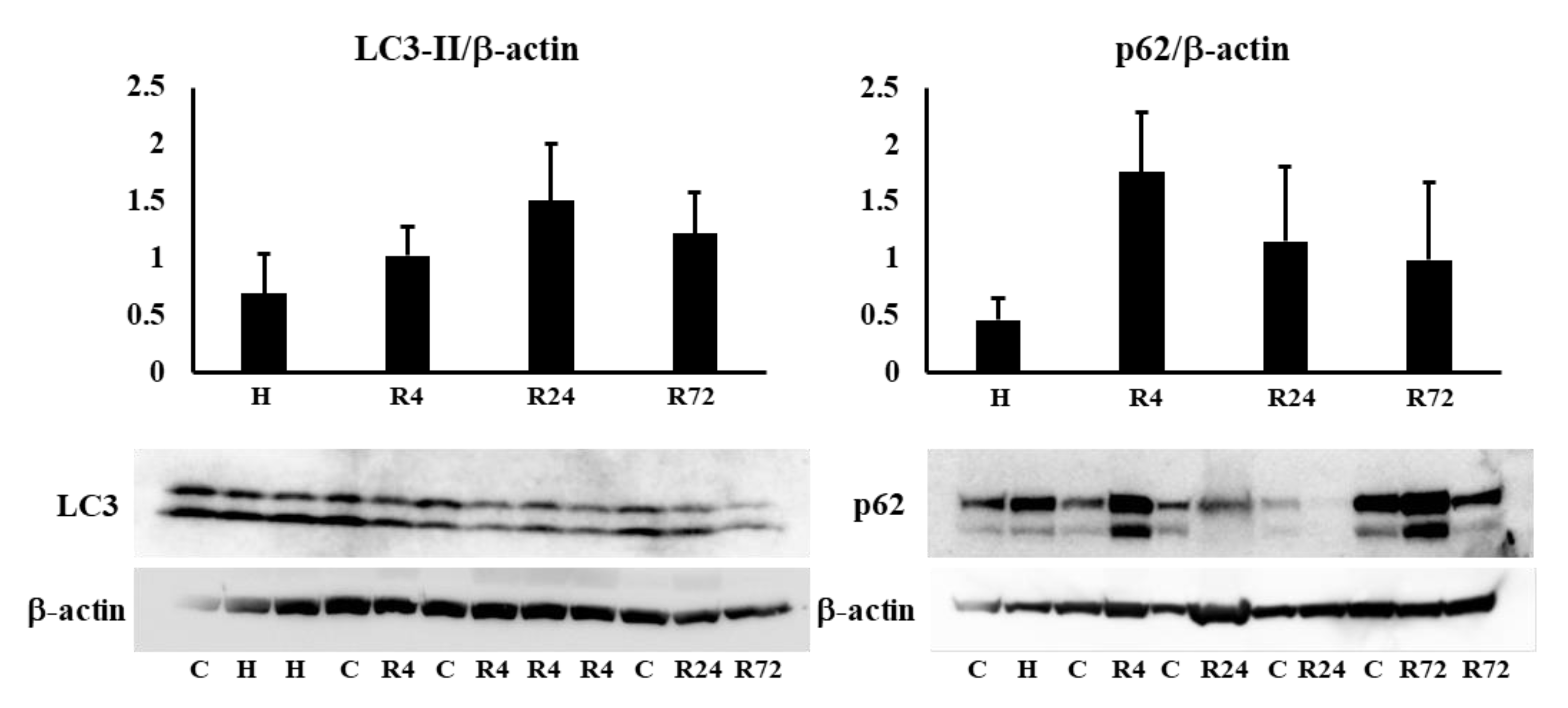 Preprints 91498 g008a