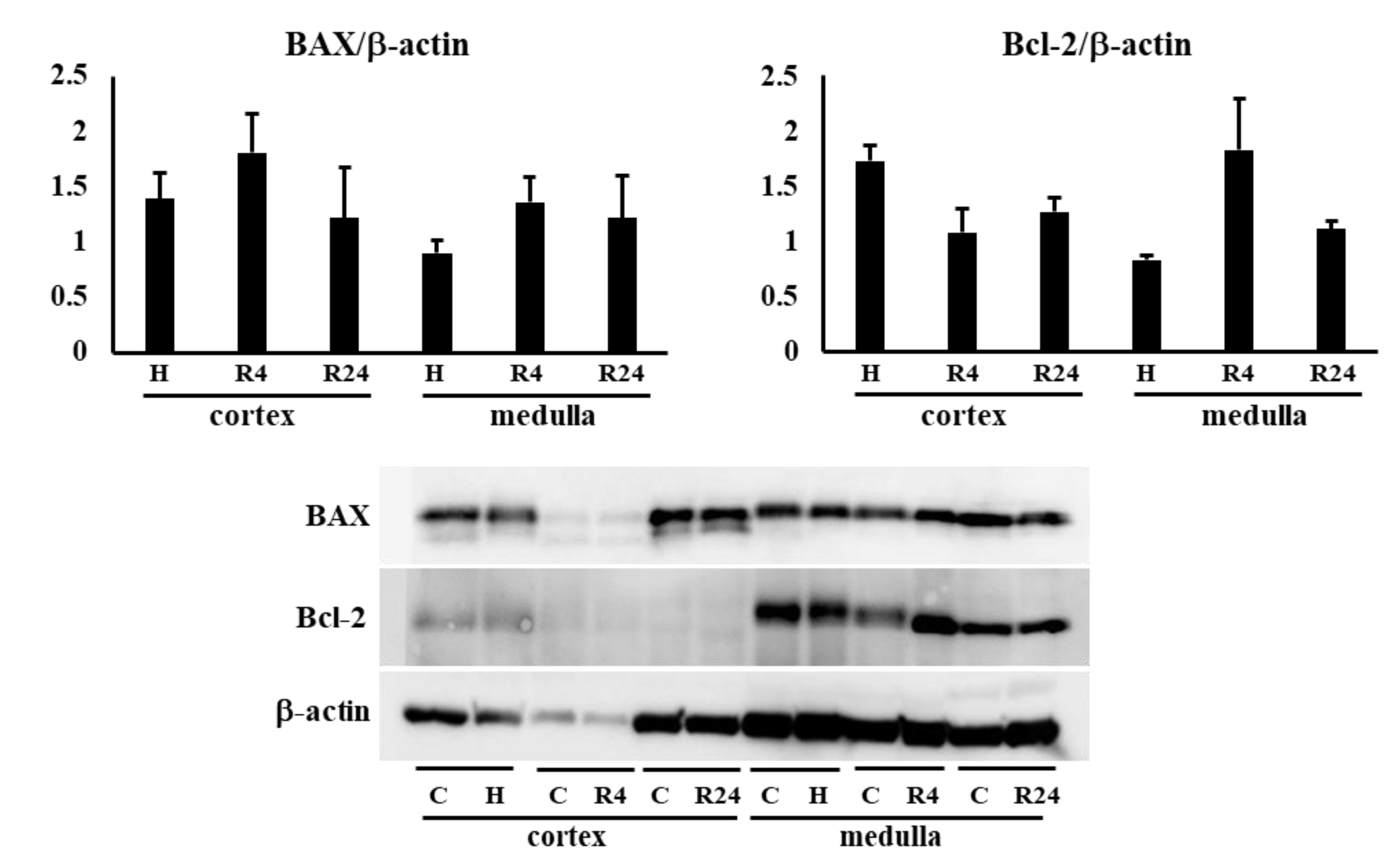 Preprints 91498 g008b