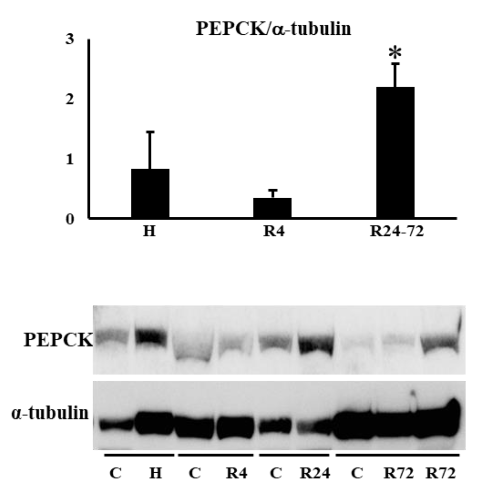 Preprints 91498 g009