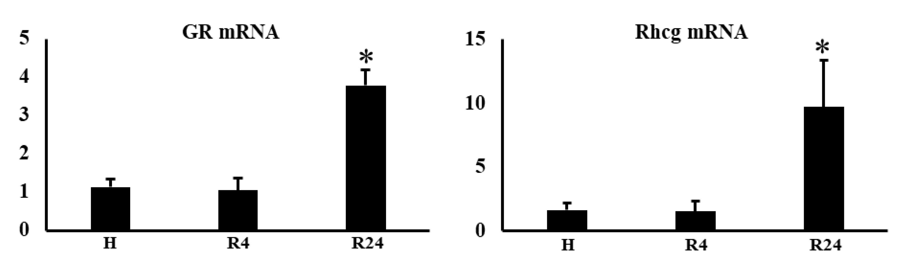 Preprints 91498 g010