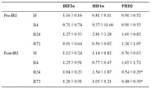 Preprints 91498 i001