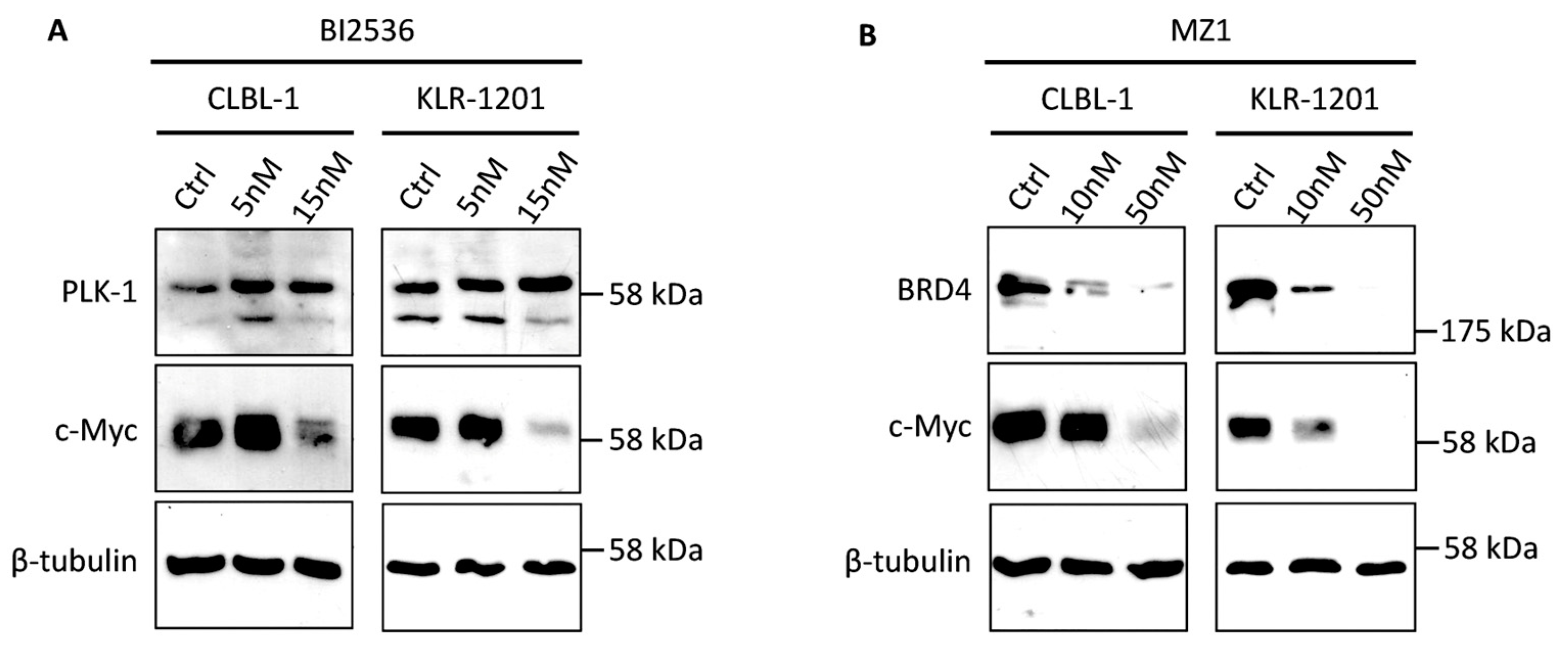 Preprints 105013 g003