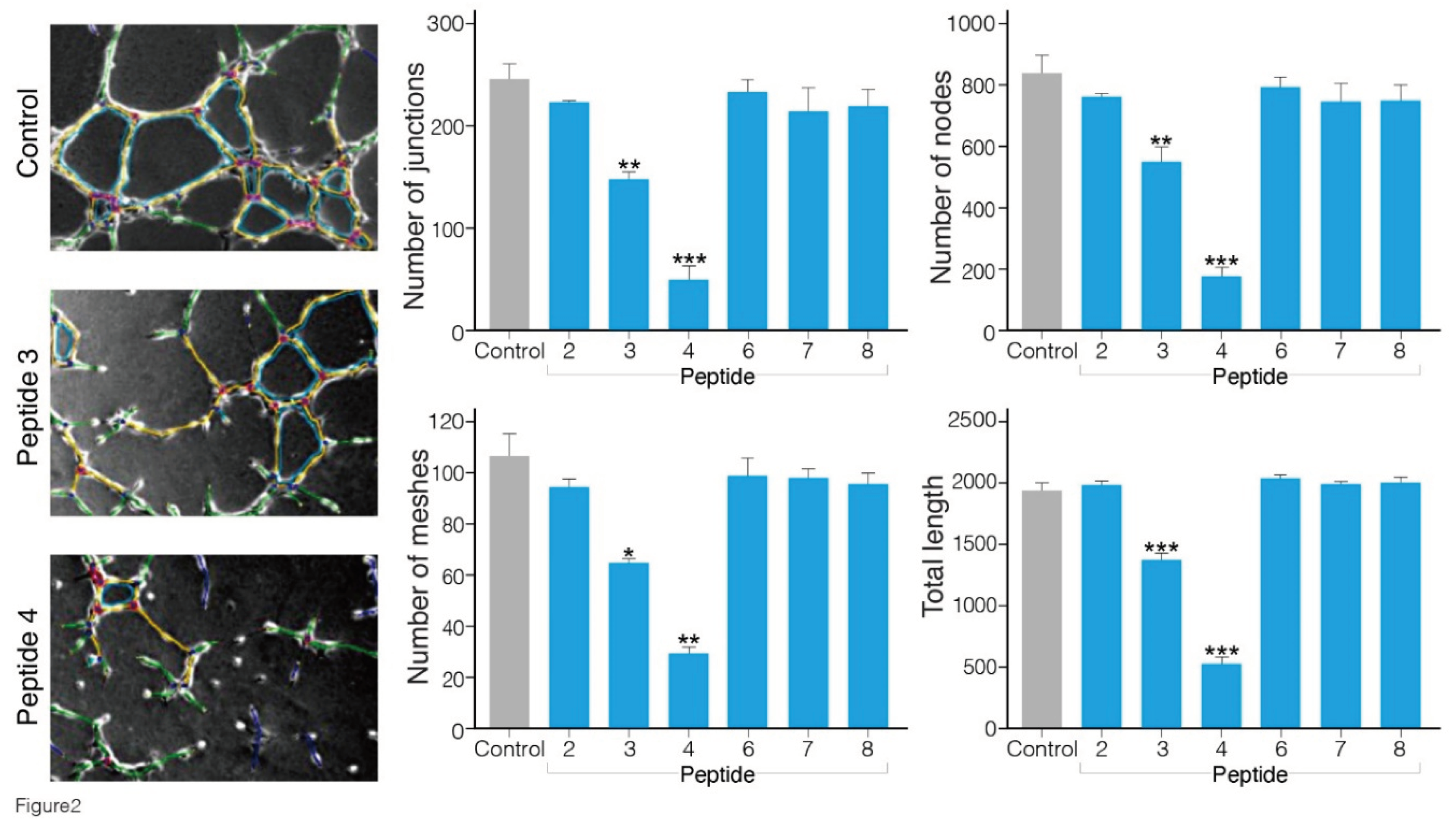 Preprints 103443 g002