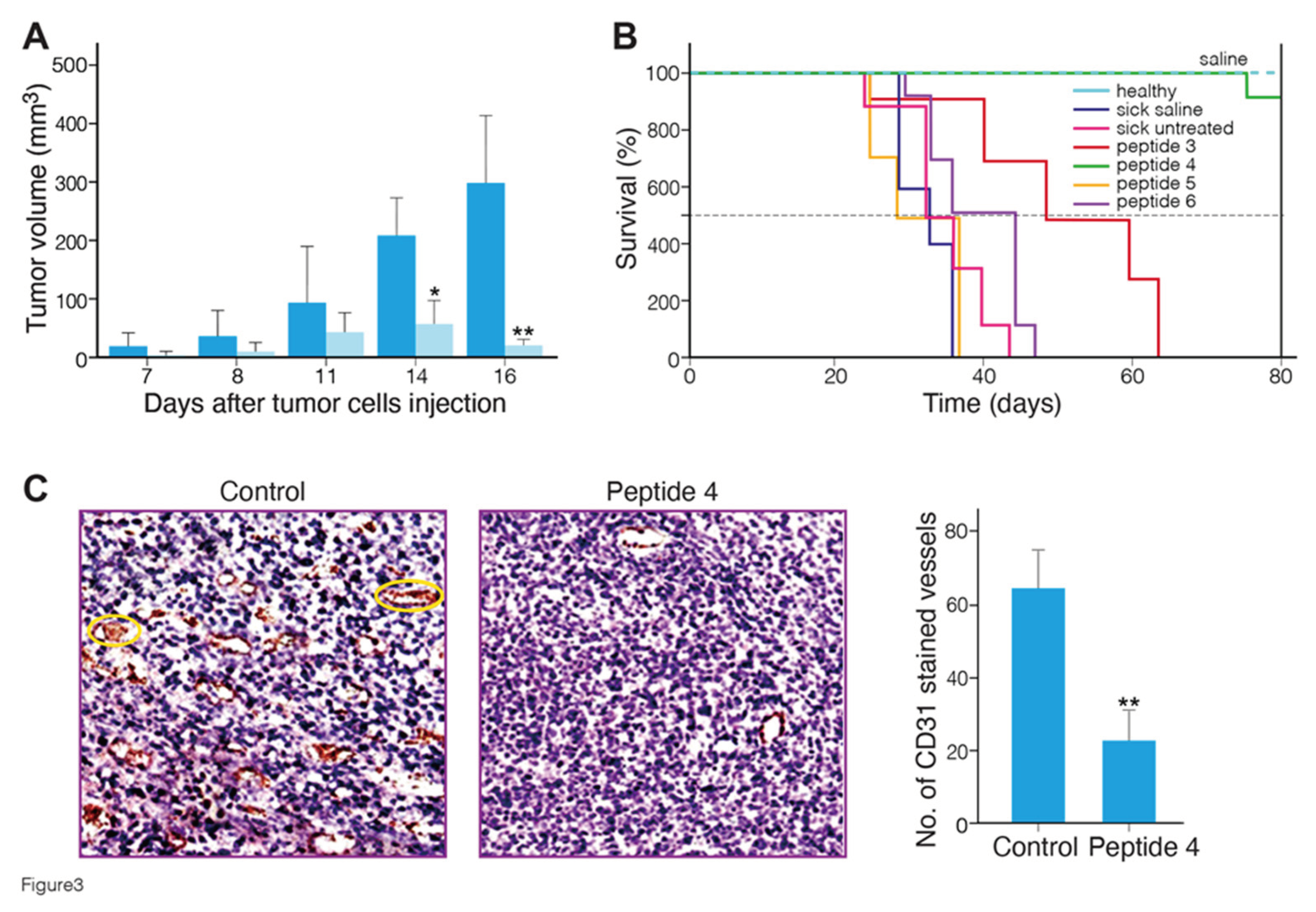 Preprints 103443 g003