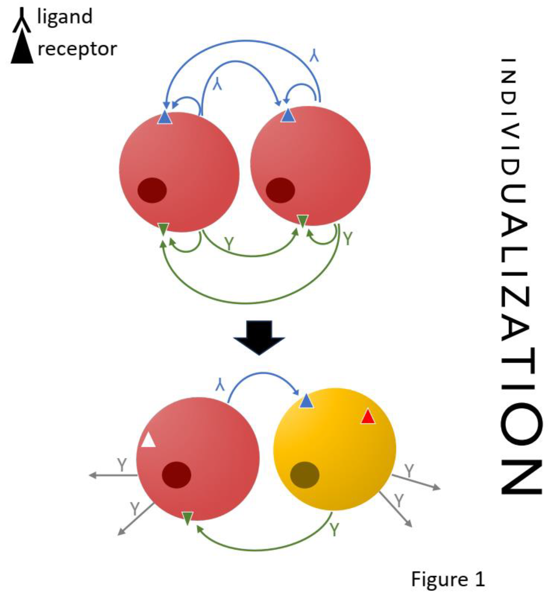 Preprints 87015 i001