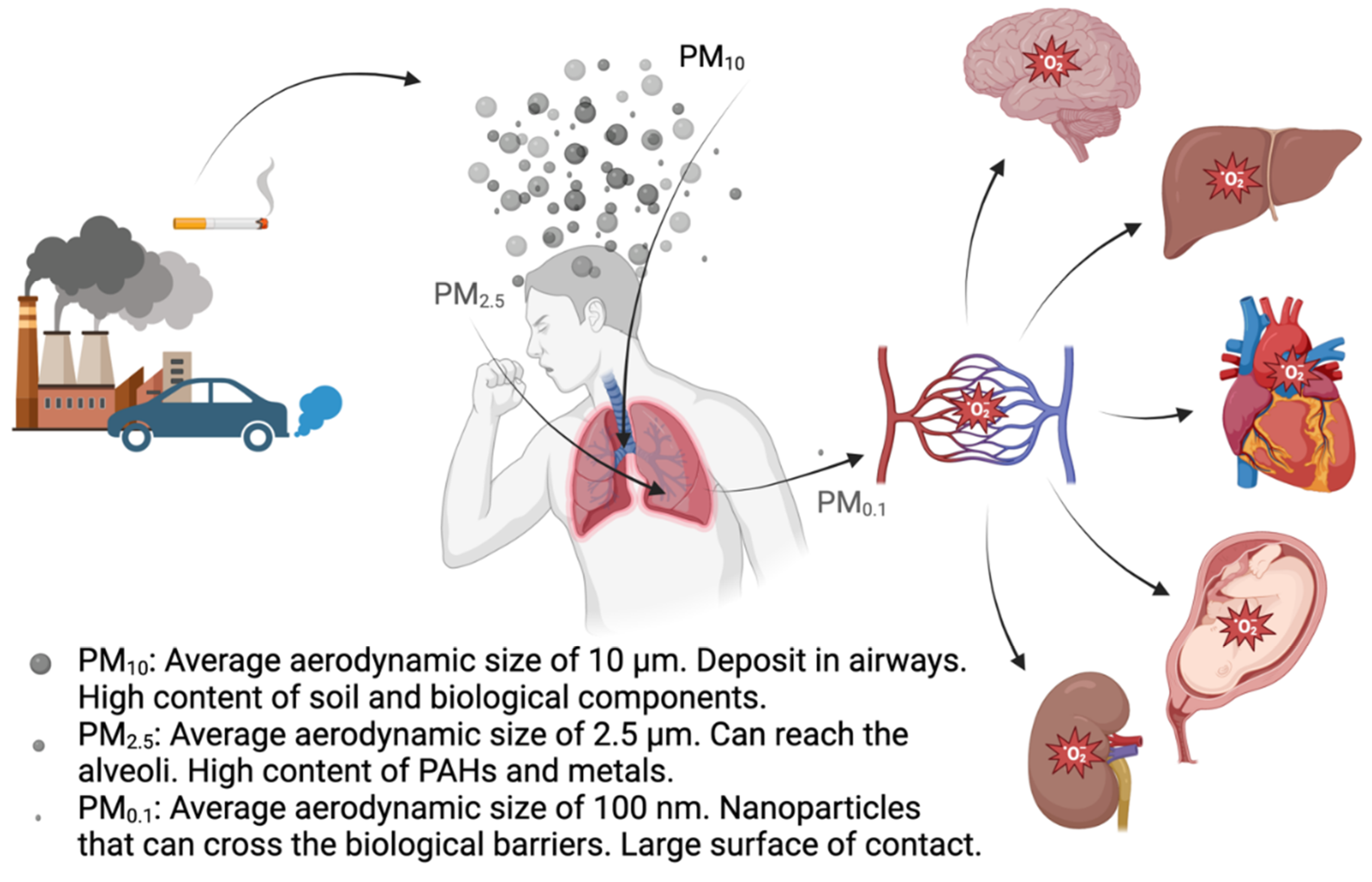 Preprints 102746 g002