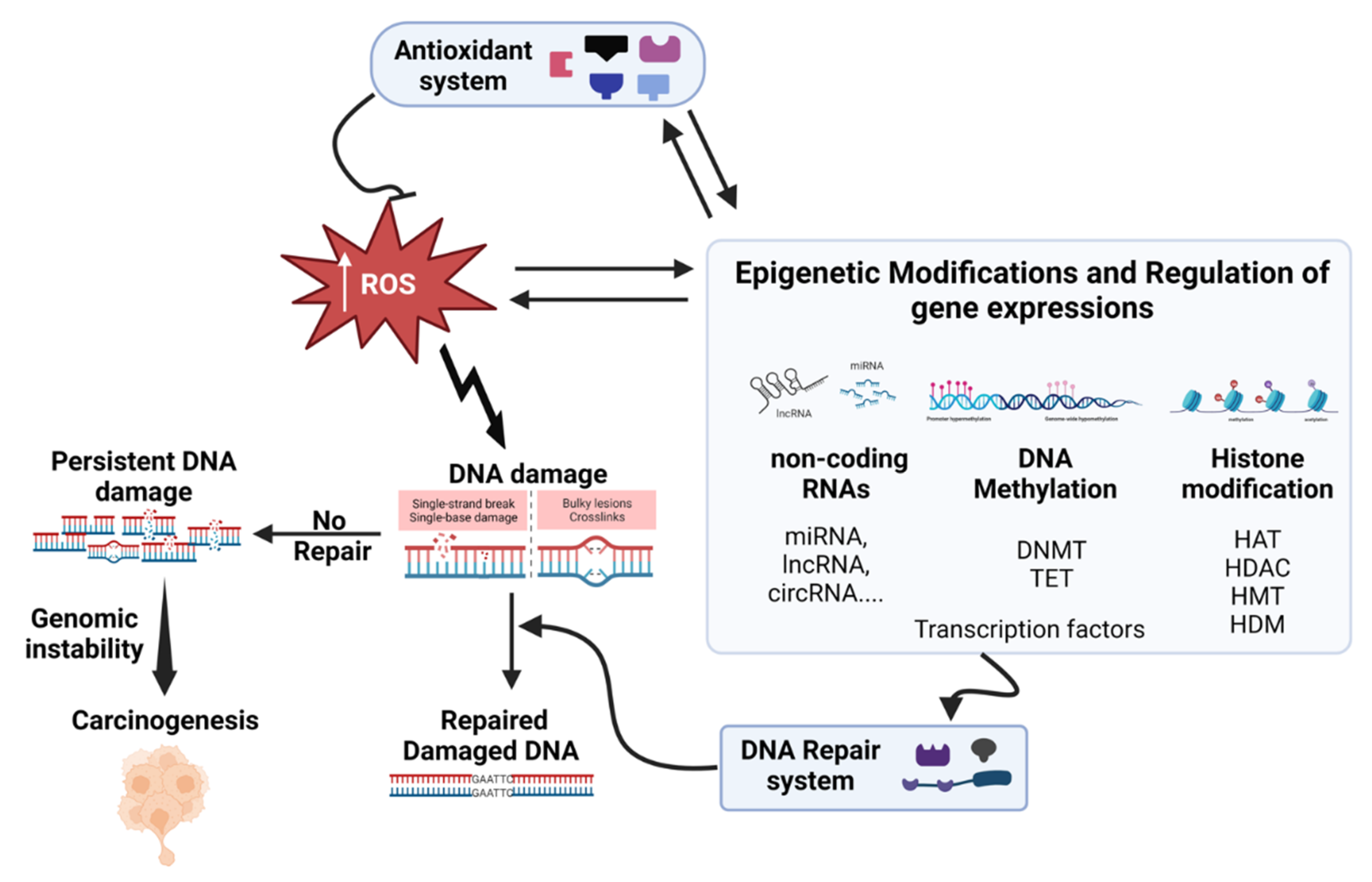 Preprints 102746 g004