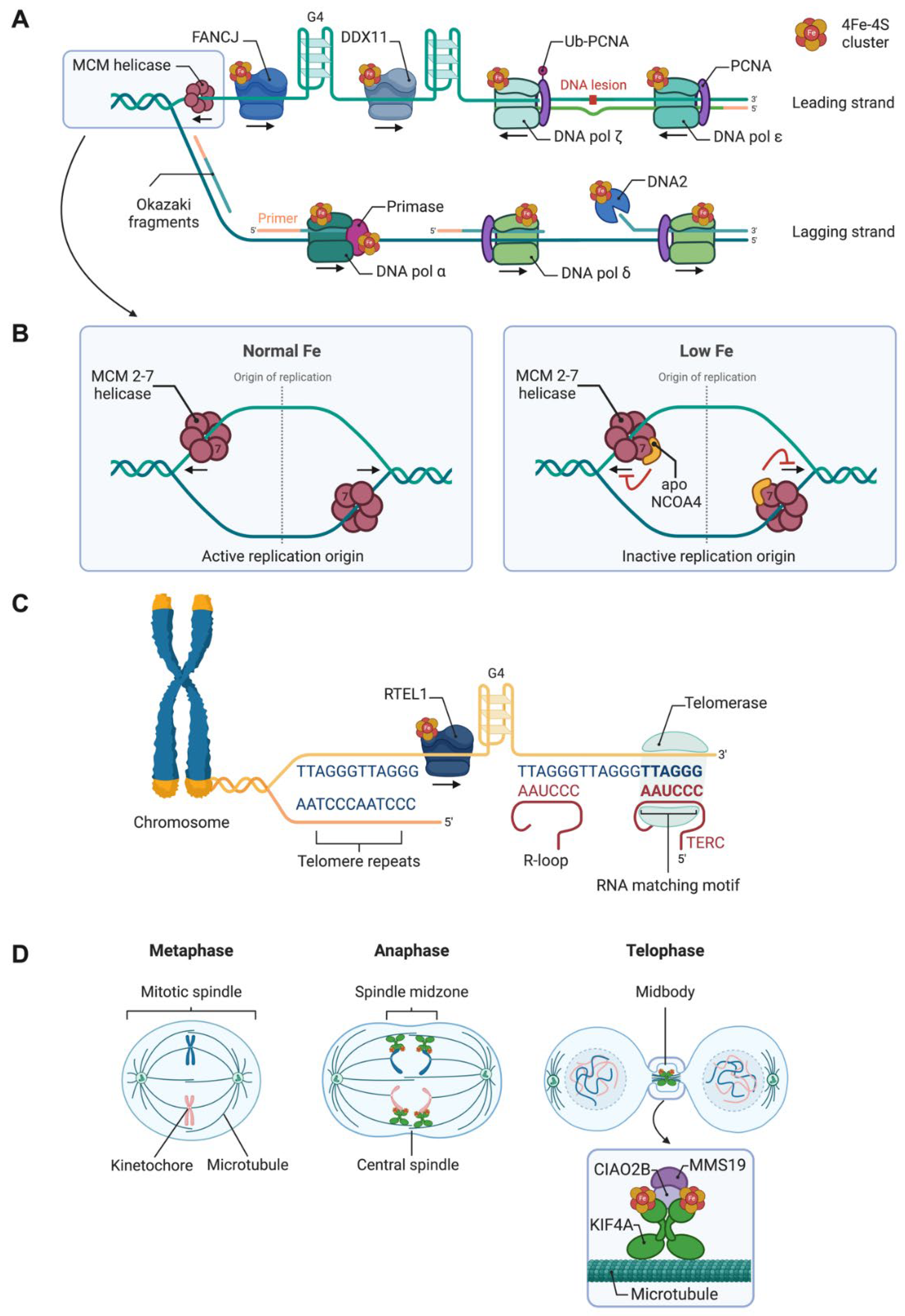 Preprints 137938 g002