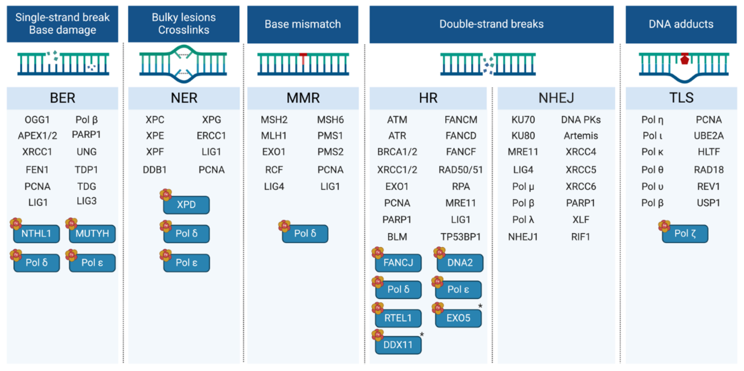 Preprints 137938 g003