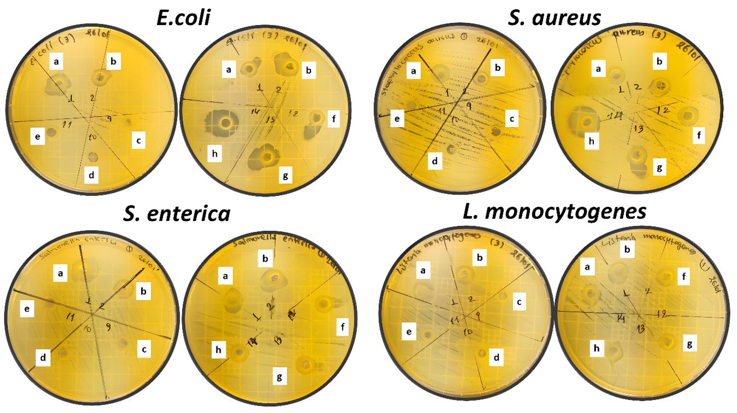 Preprints 76130 g005