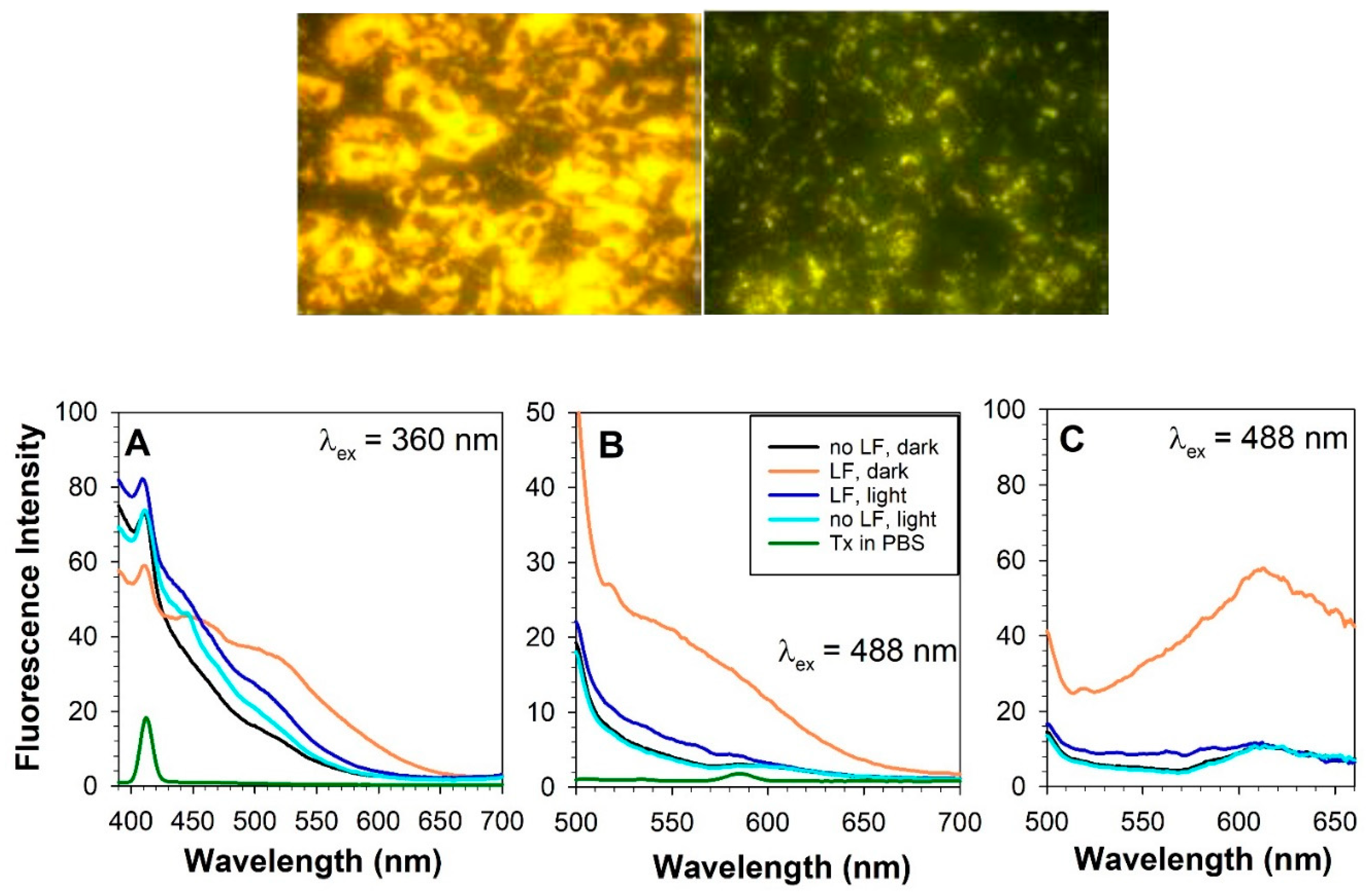 Preprints 78620 g003