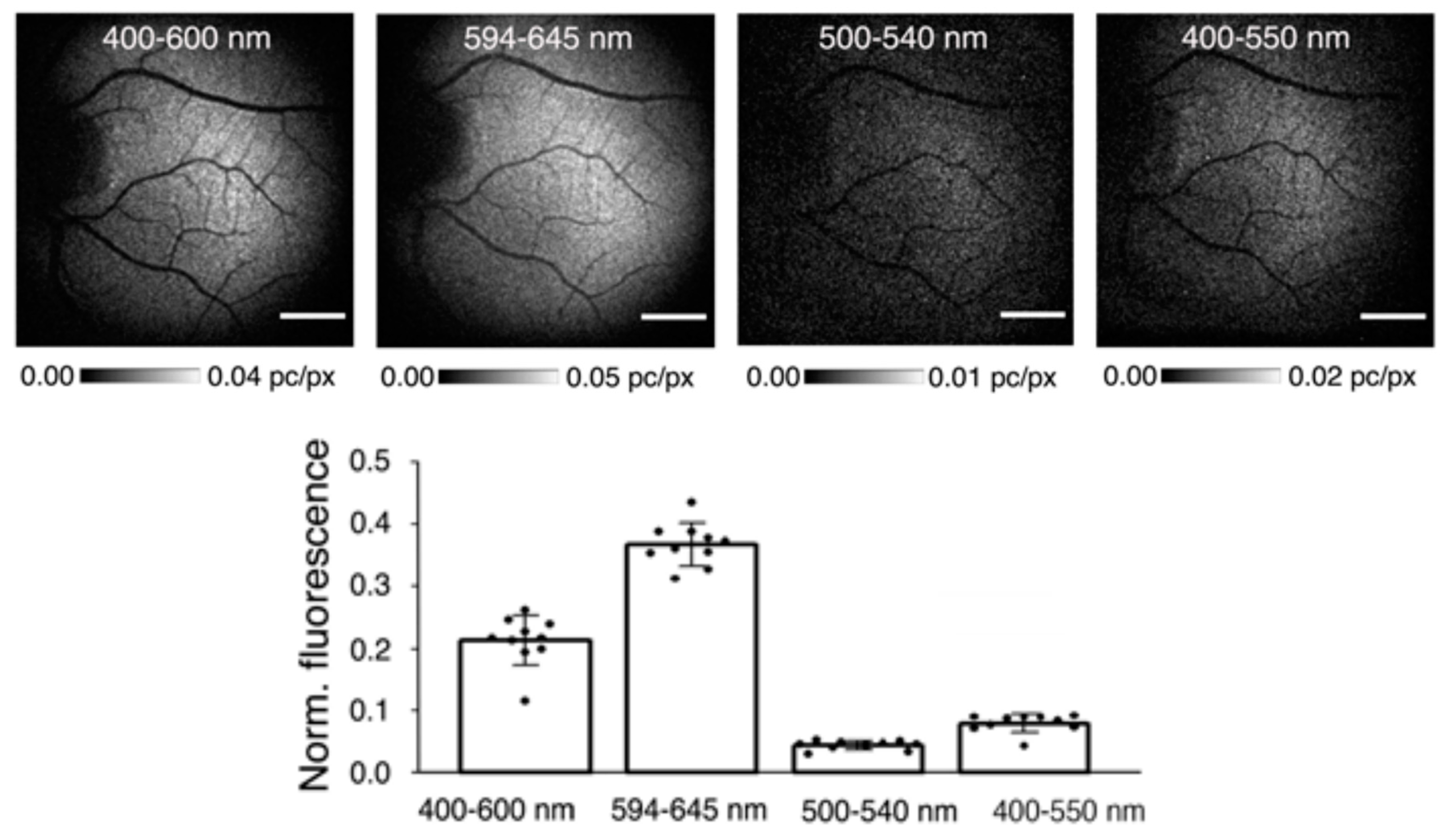 Preprints 78620 g004